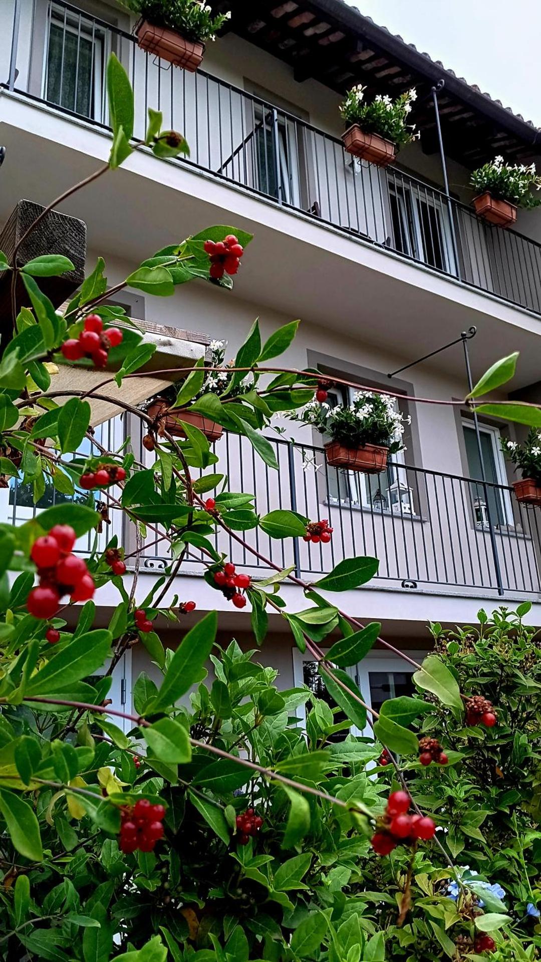 Il bosco delle torte - Photo 12