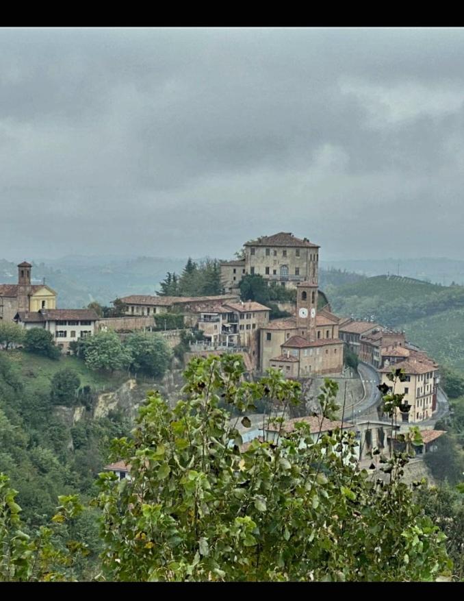 Il bosco delle torte - Photo 14