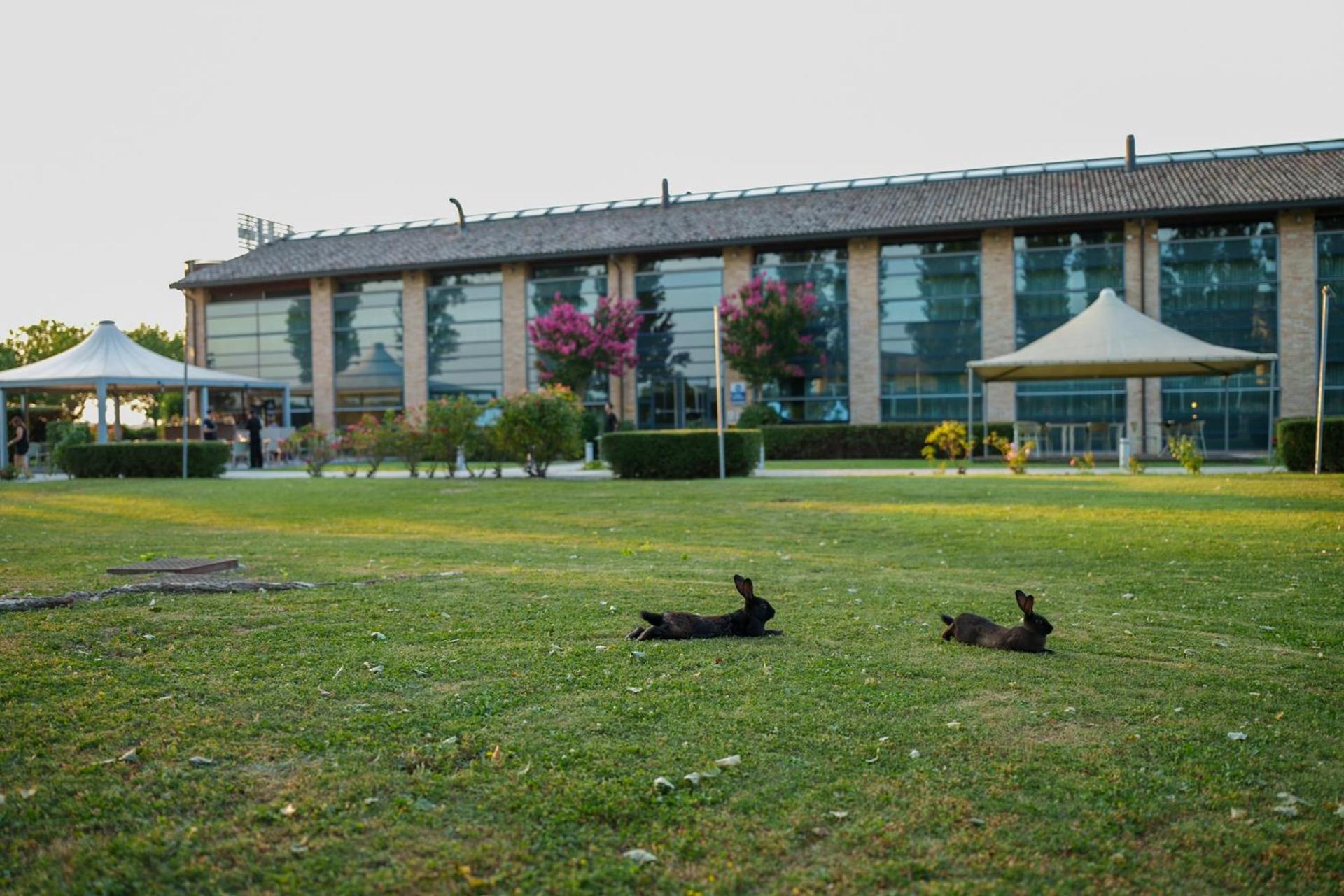 Best Western Hotel Green City - Photo 105