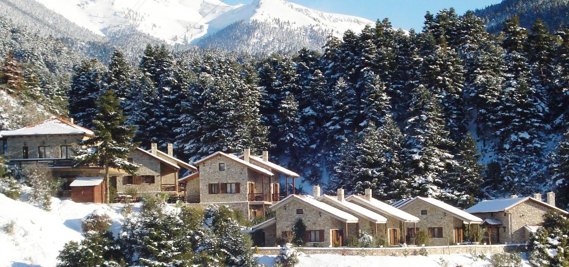 Georgio's V Chalet Kalavrita - Photo 99