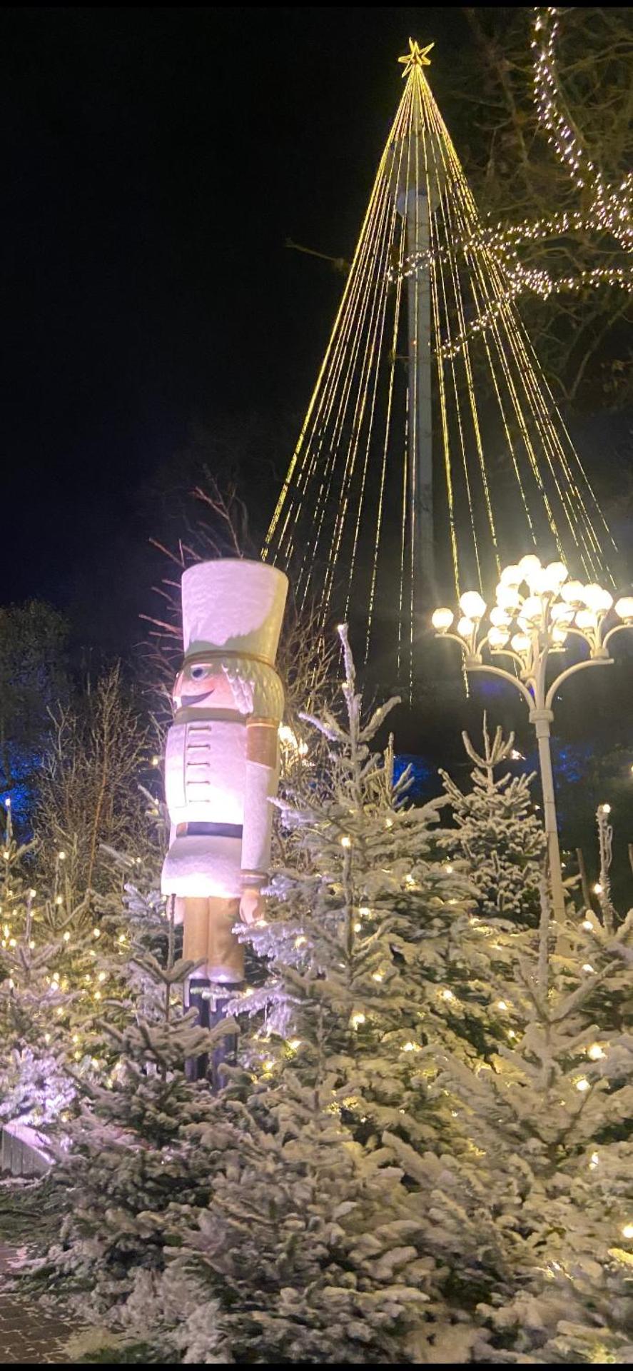 Linné Hostel - Photo 17