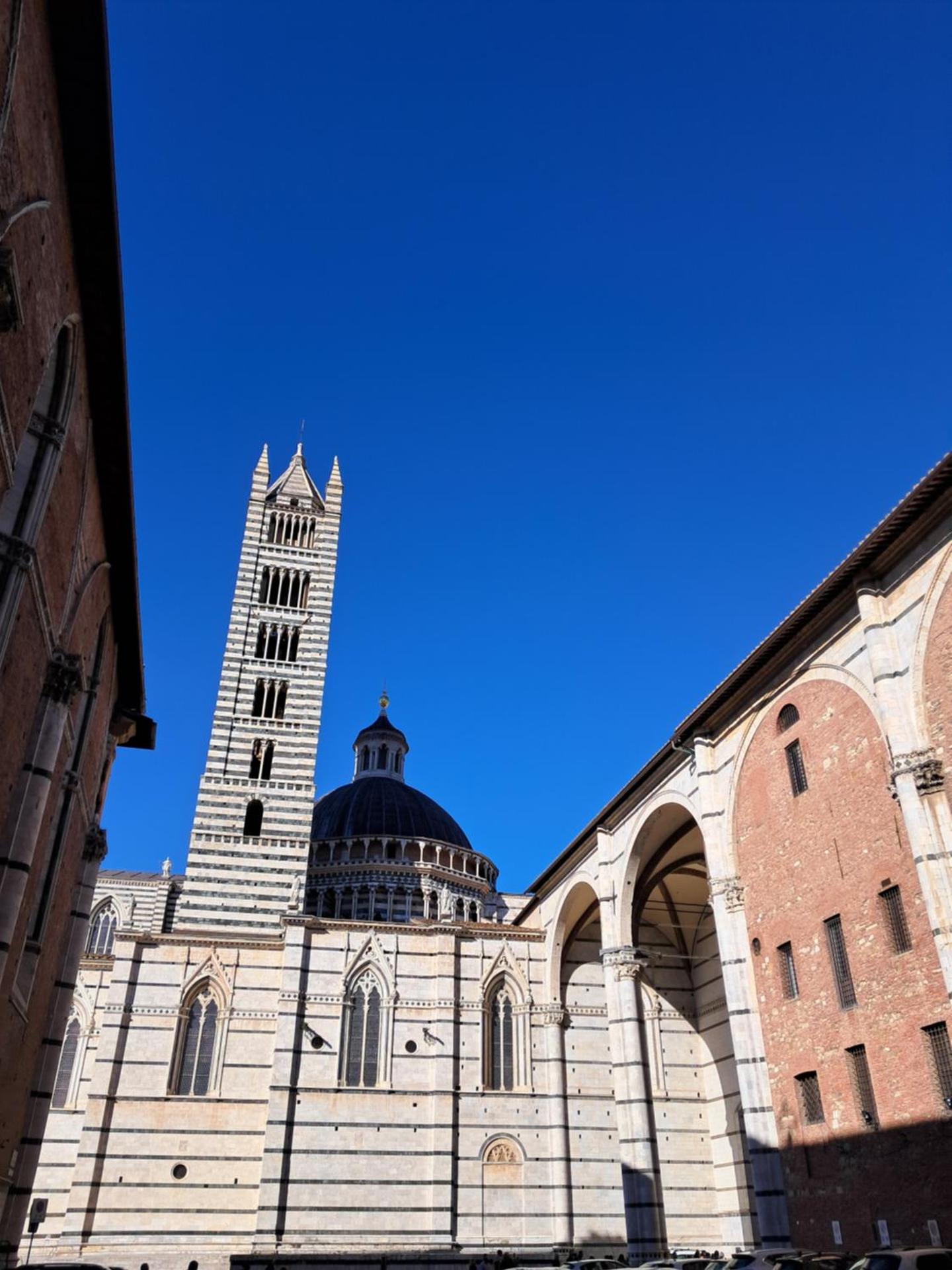Hotel Minerva - Photo 179