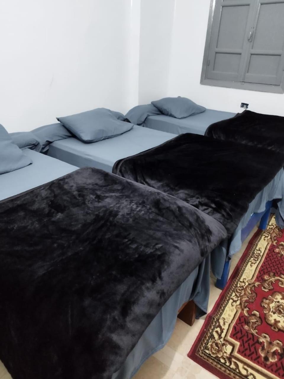 Grand Square Hostel Luxor - Photo 28