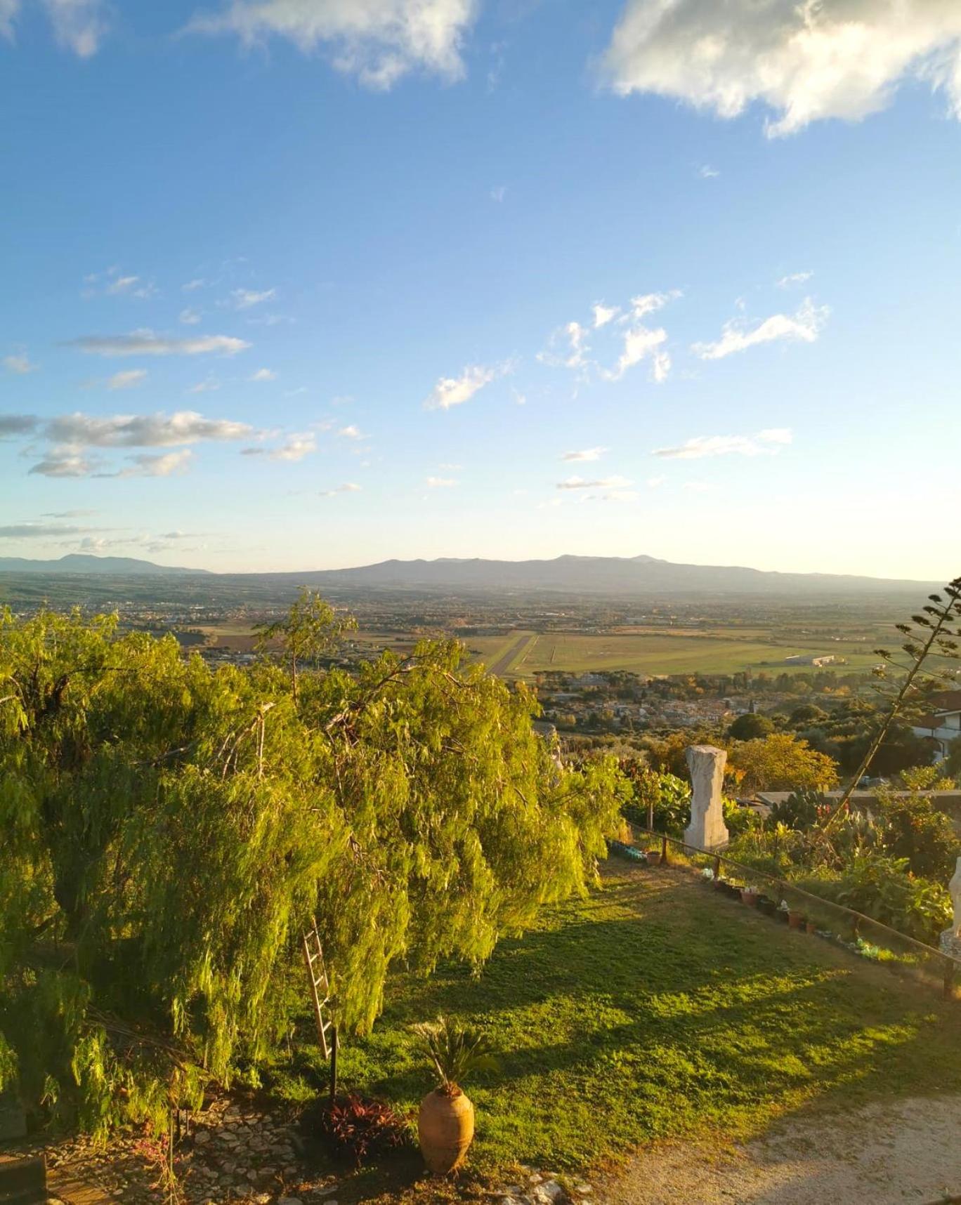 Villa Dei Romani - Country House - Photo 41