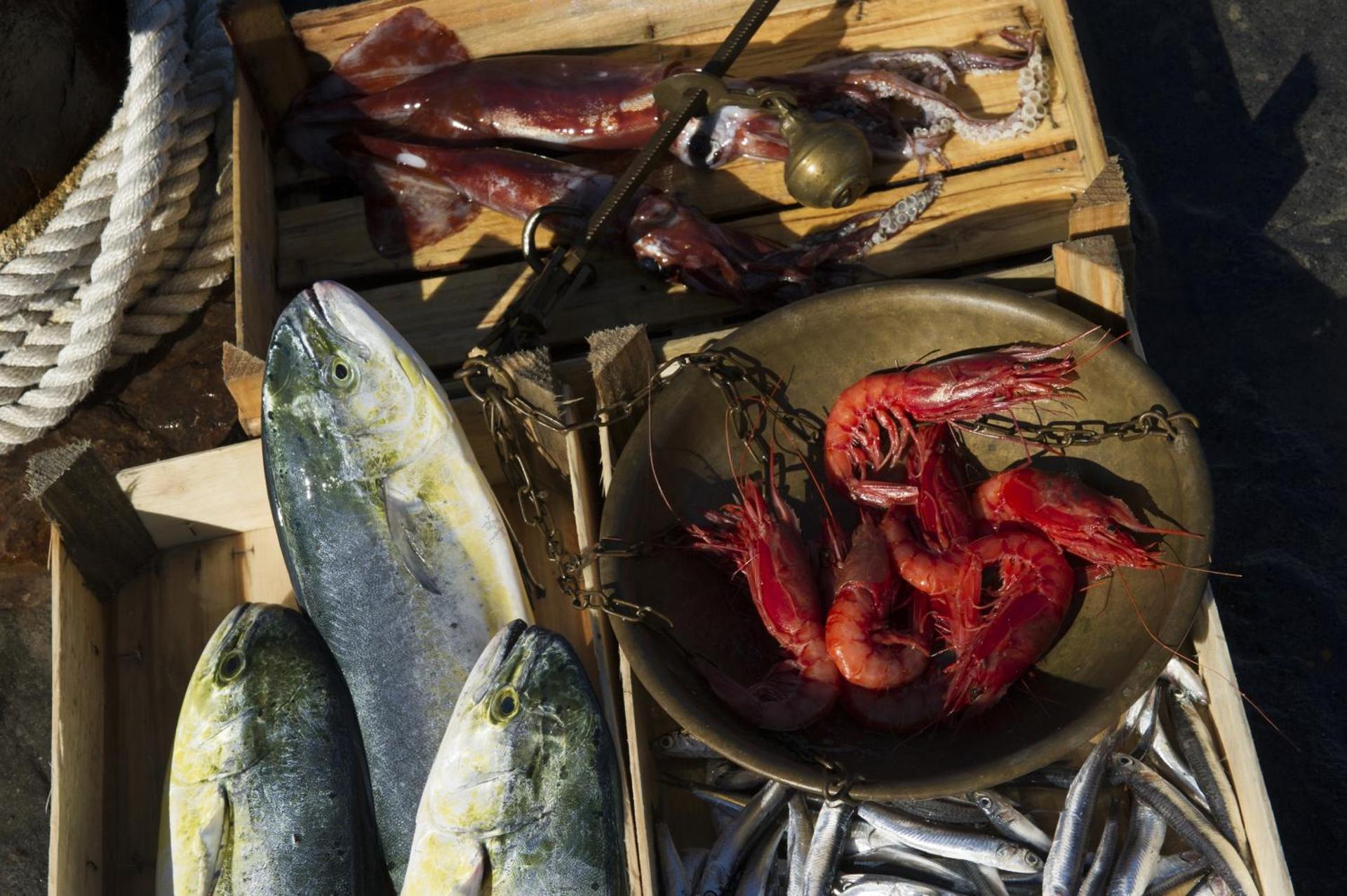 Hotel Villa Ducale - Photo 113