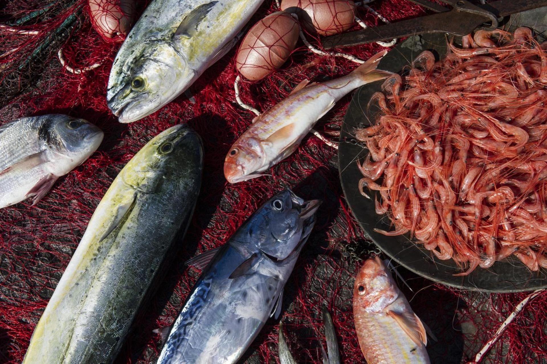 Hotel Villa Ducale - Photo 114