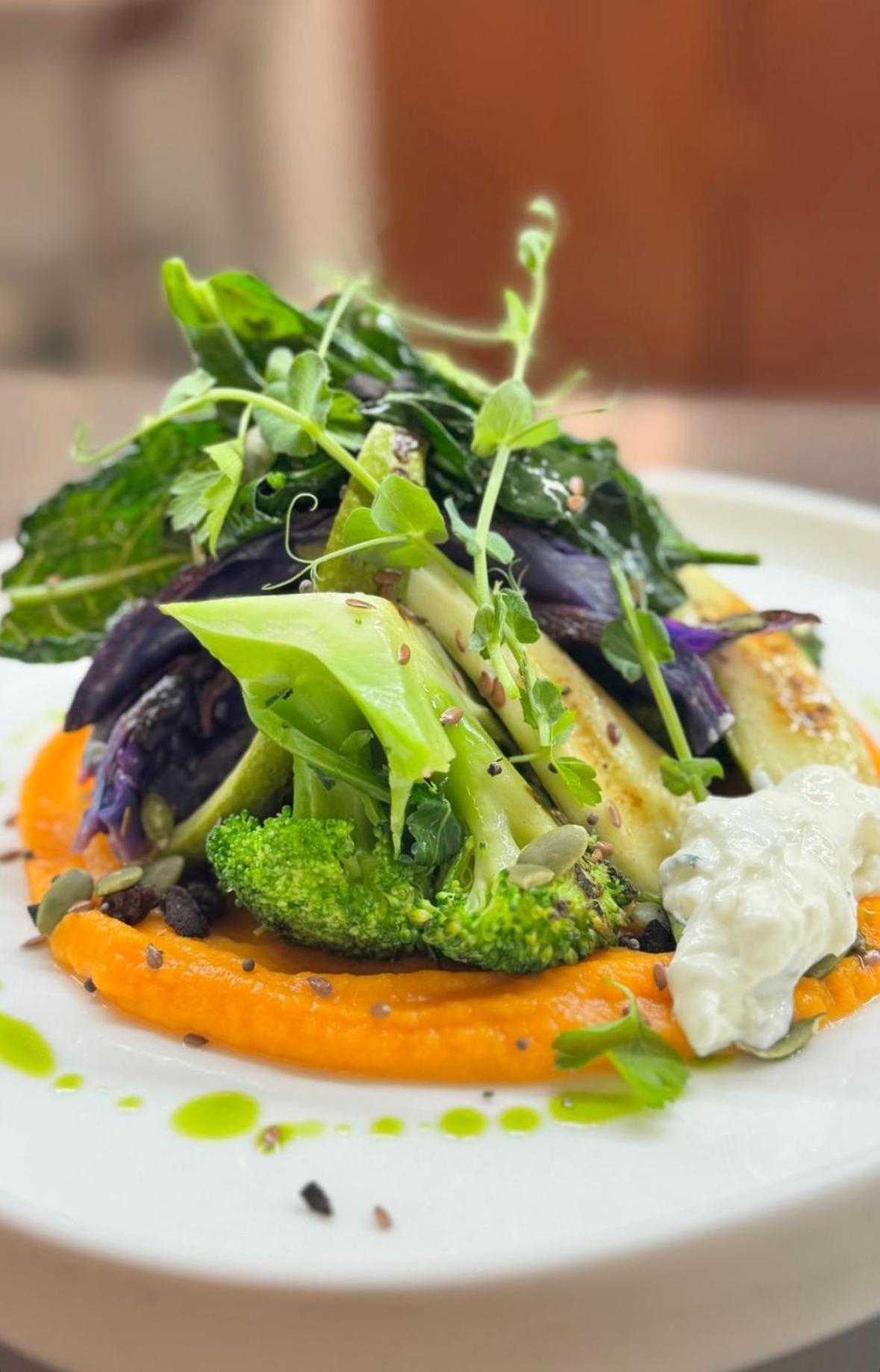 Blerina's Agritourism Concept - Photo 158