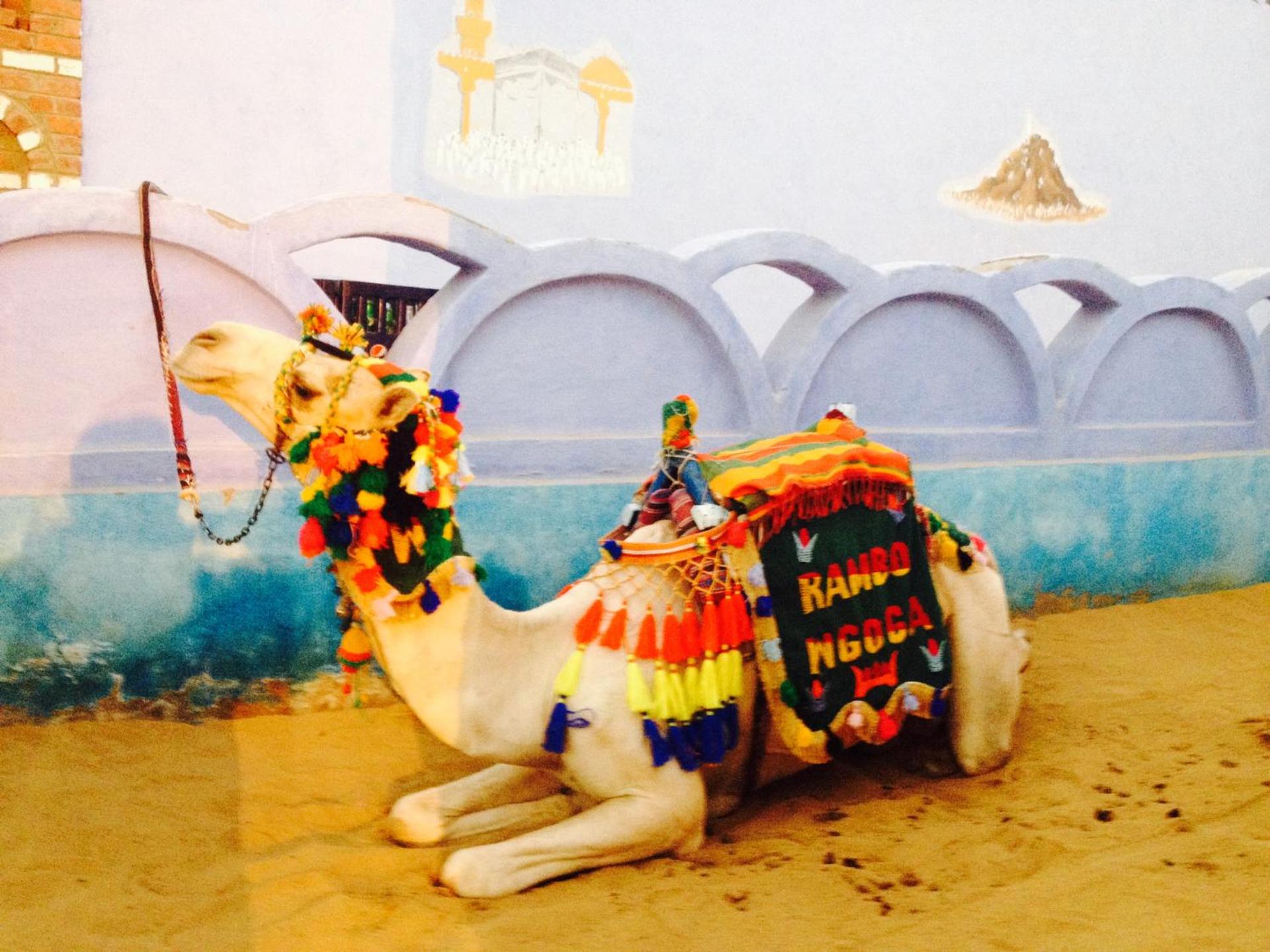 Cleopatra Hotel Luxor - Photo 33