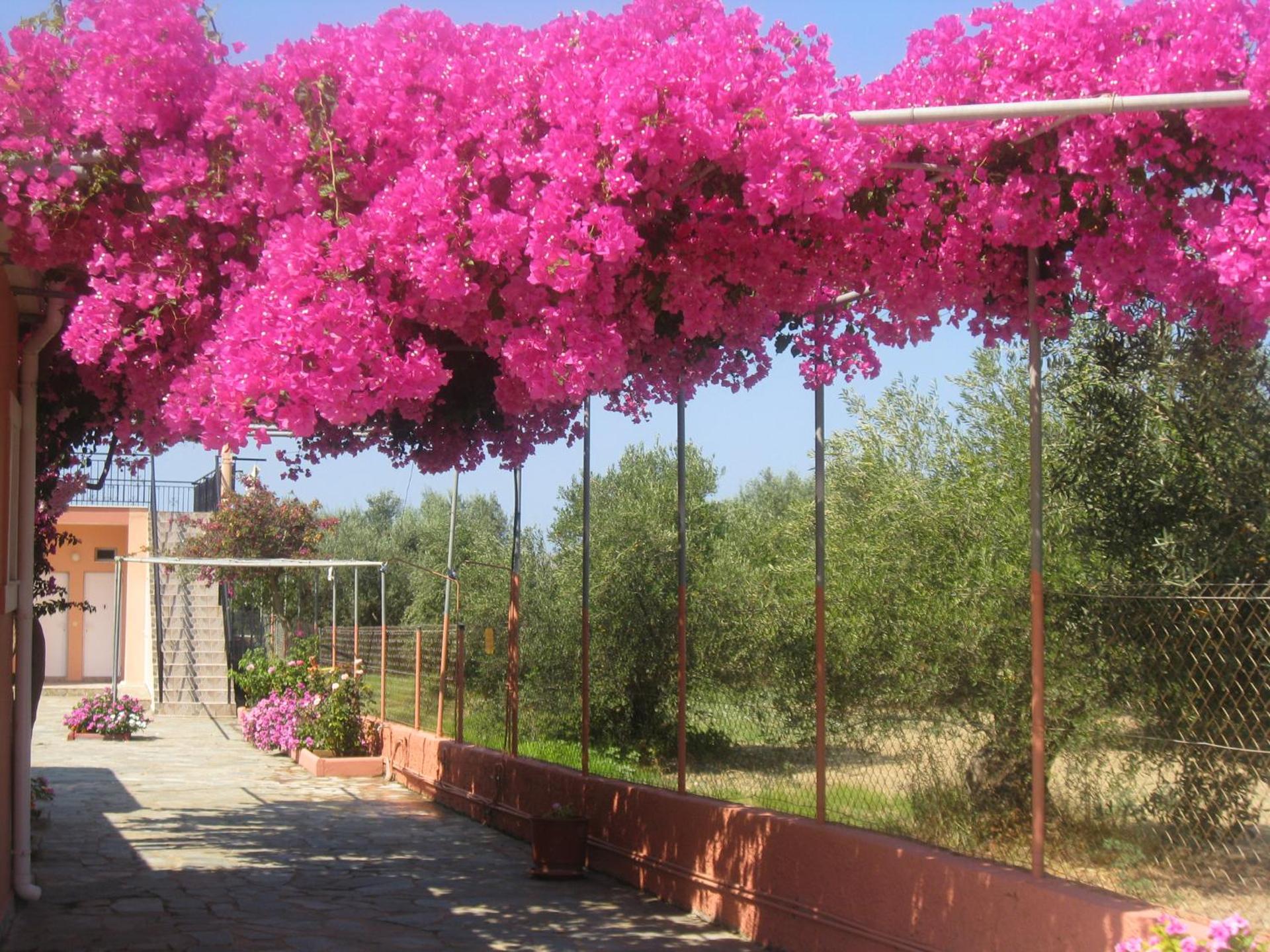 Paradise Studios - Photo 146