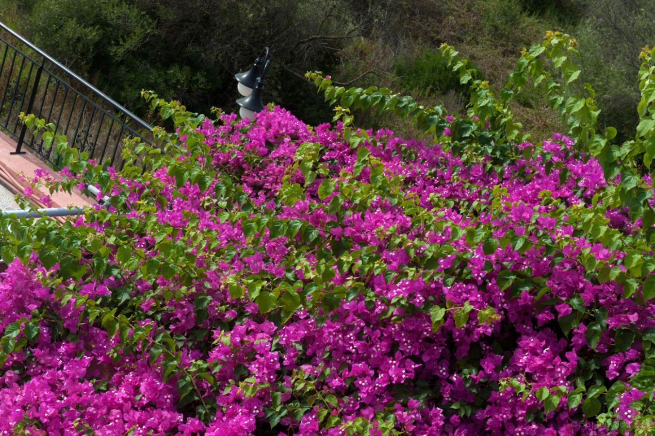 Paradise Studios - Photo 167