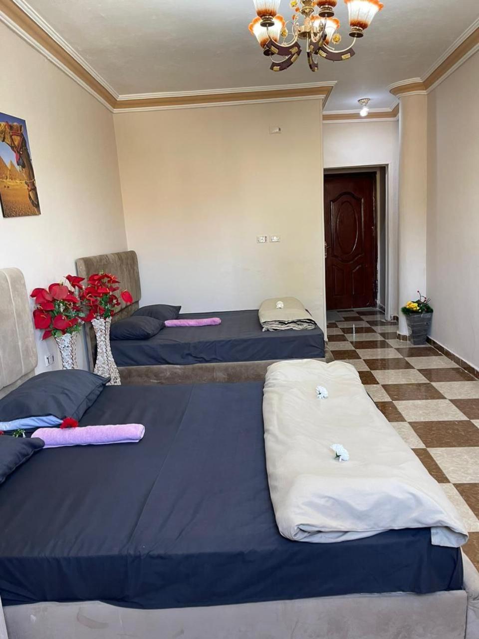 Pyramids International INN - Photo 52