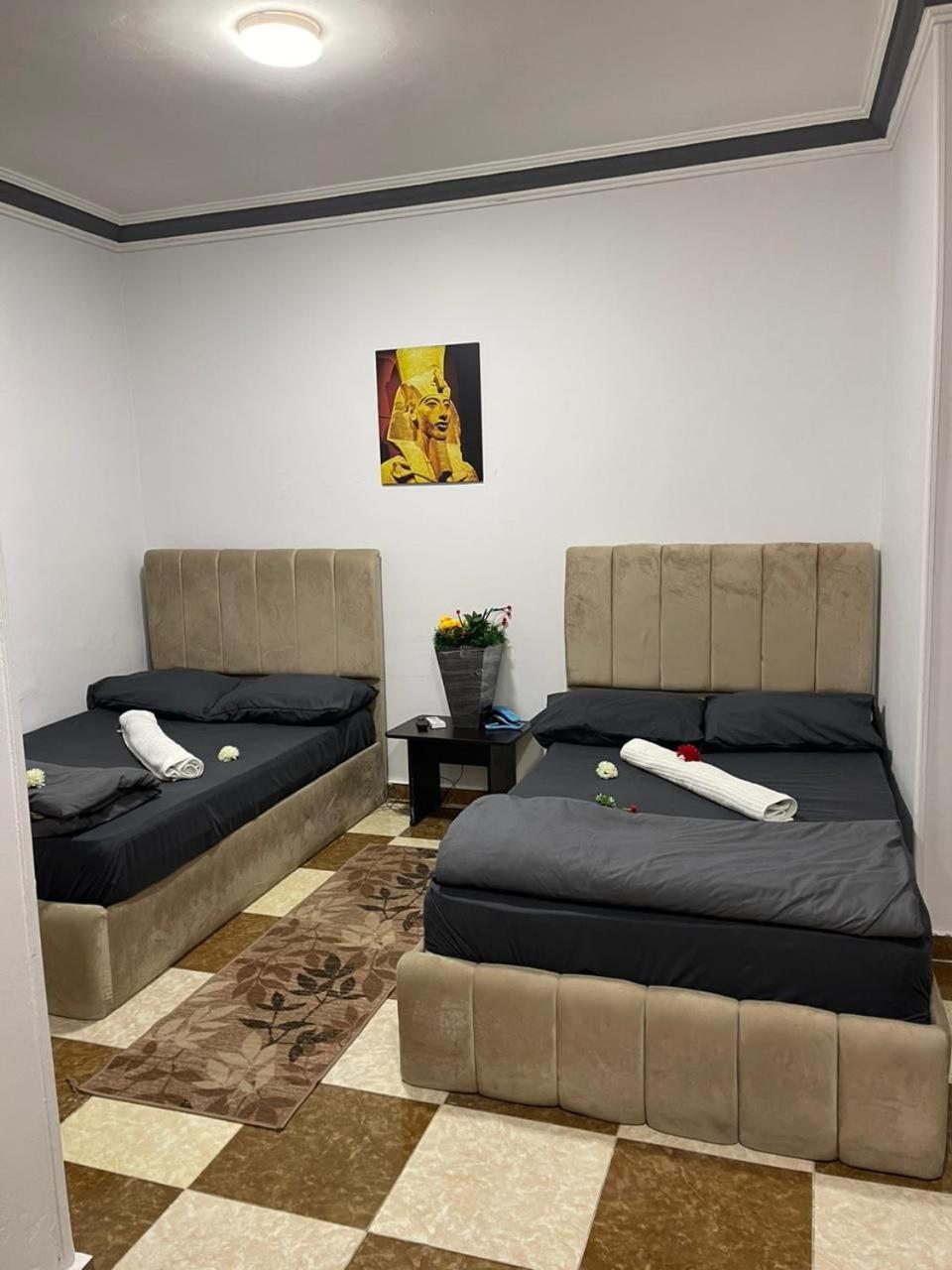 Pyramids International INN - Photo 42