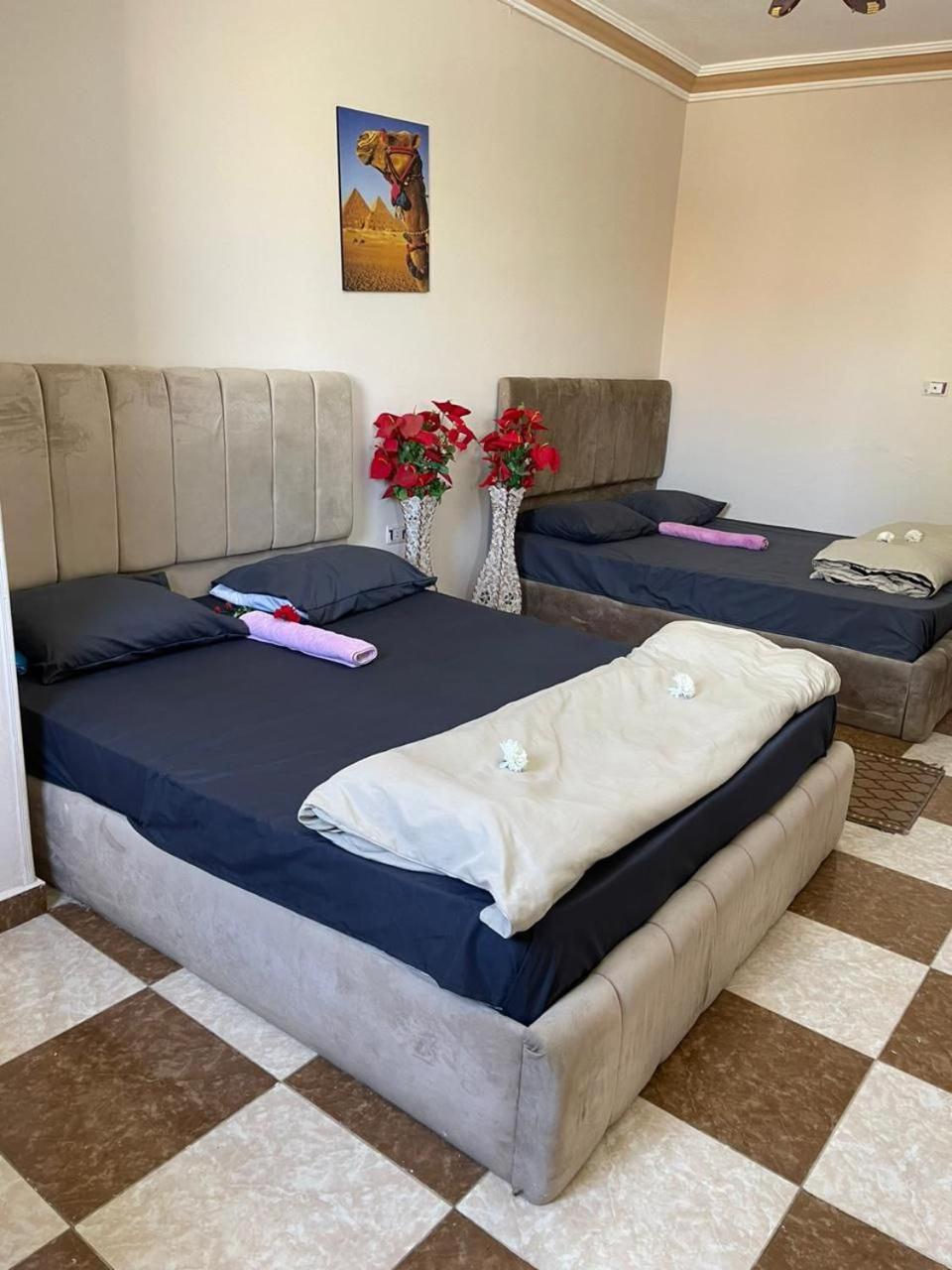 Pyramids International INN - Photo 44