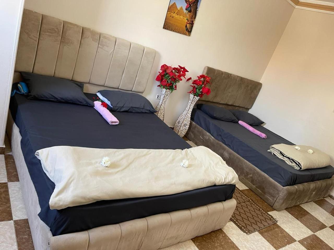 Pyramids International INN - Photo 47