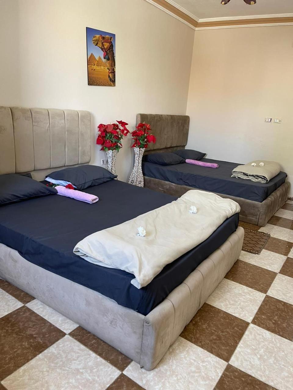 Pyramids International INN - Photo 49