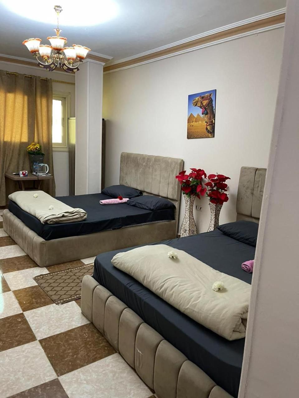 Pyramids International INN - Photo 50