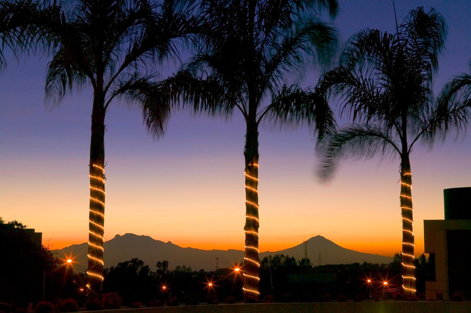 Novotel Mexico City Santa Fe - Photo 92