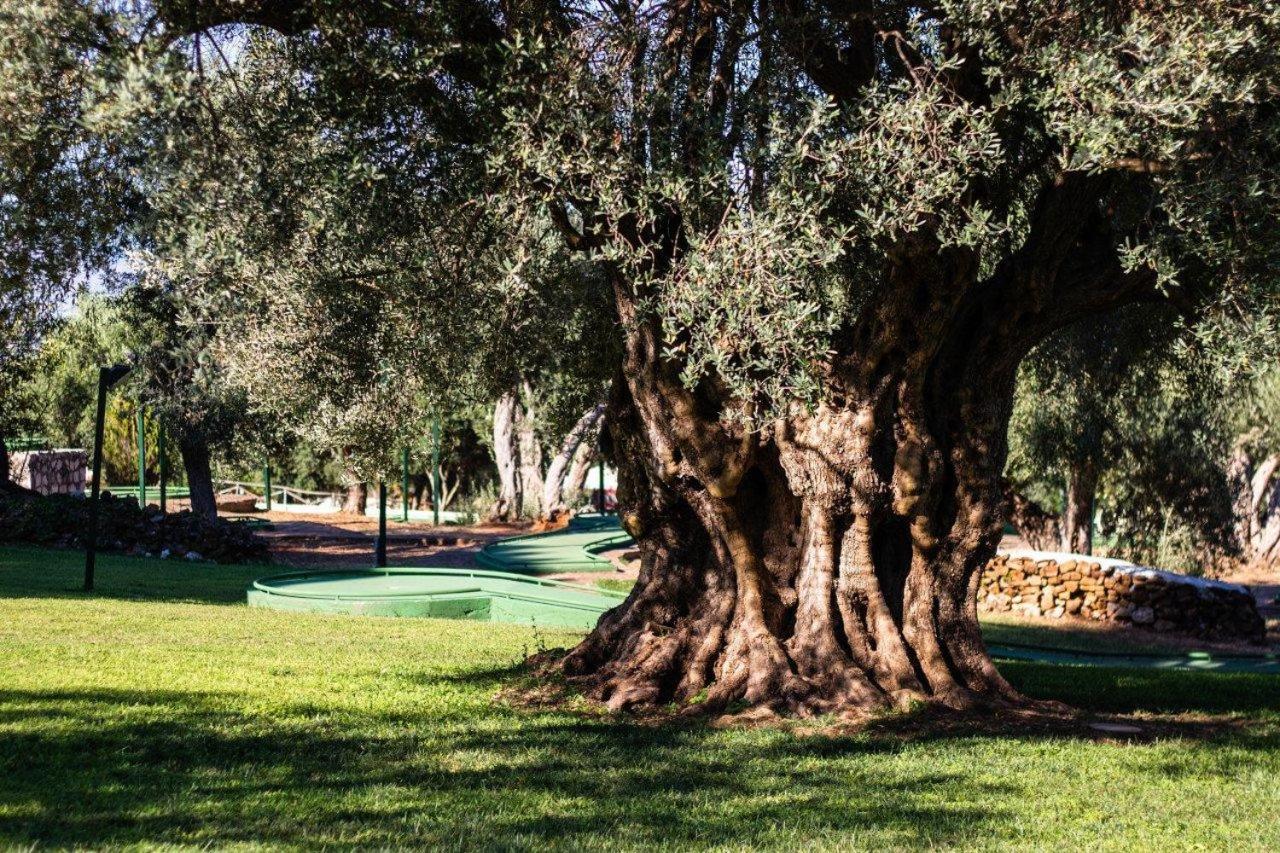 CDSHotels Terrasini - Città del Mare - Photo 30