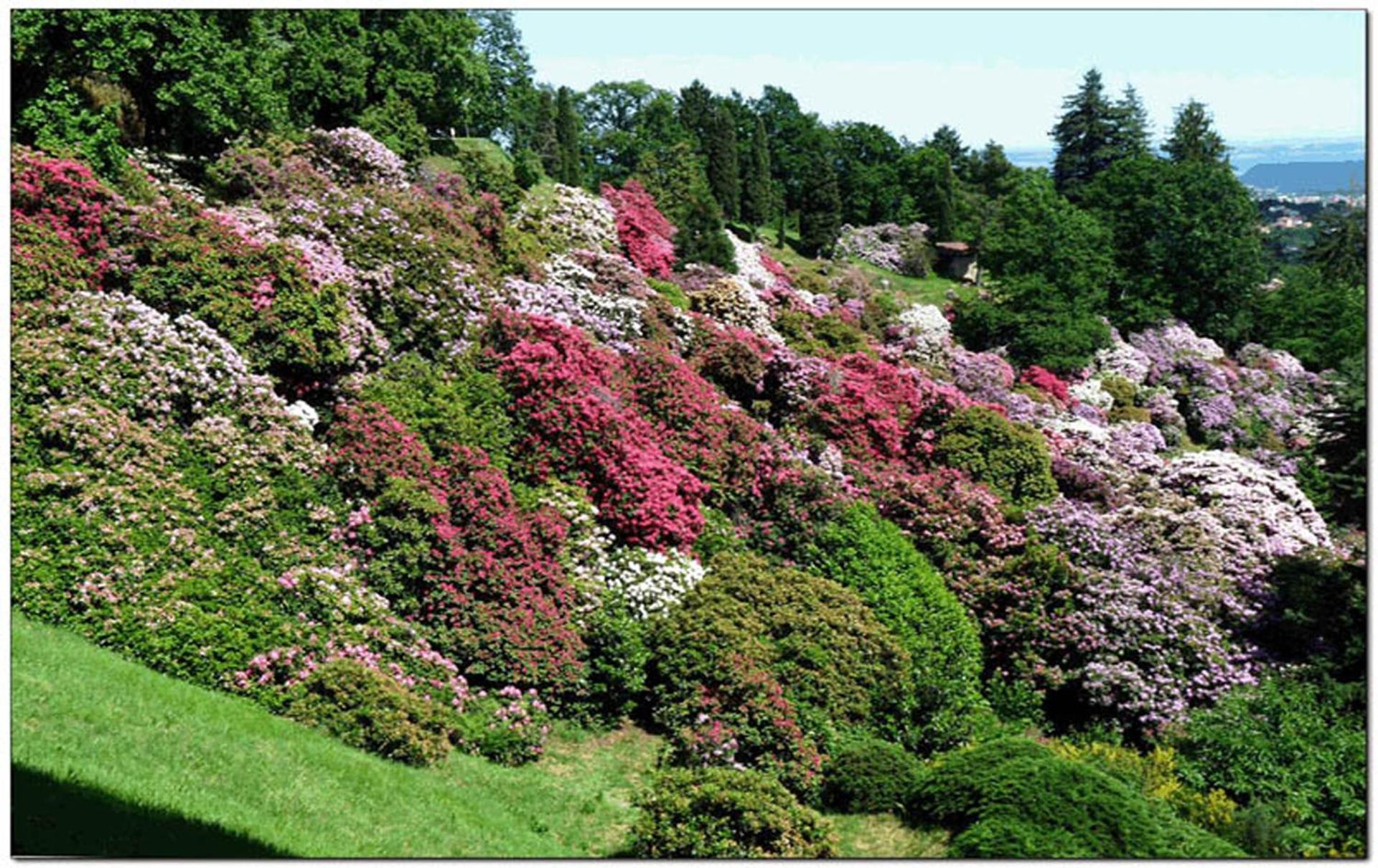 Hotel Michelangelo - Photo 36