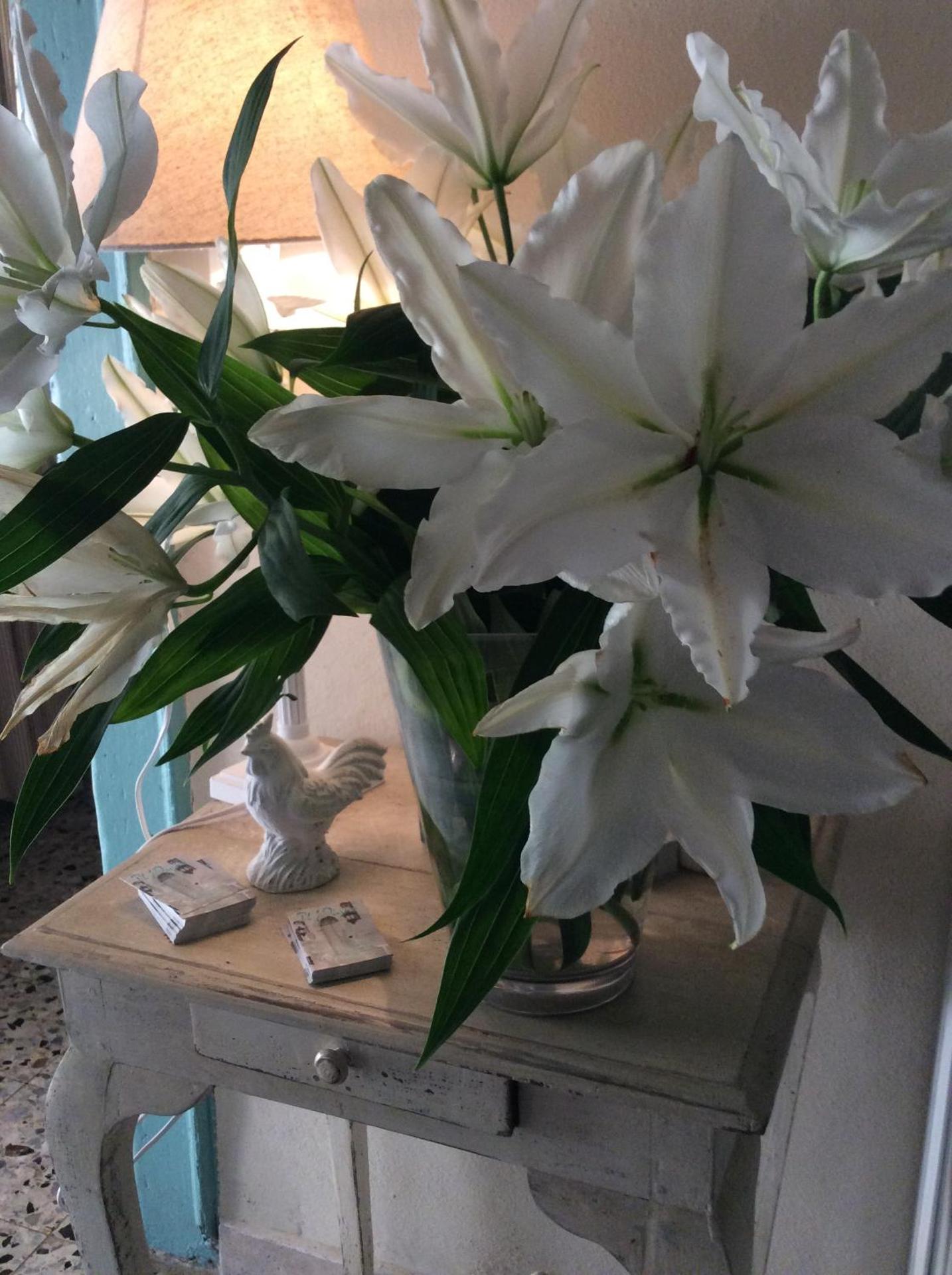 Relais Il Pigno - Photo 151