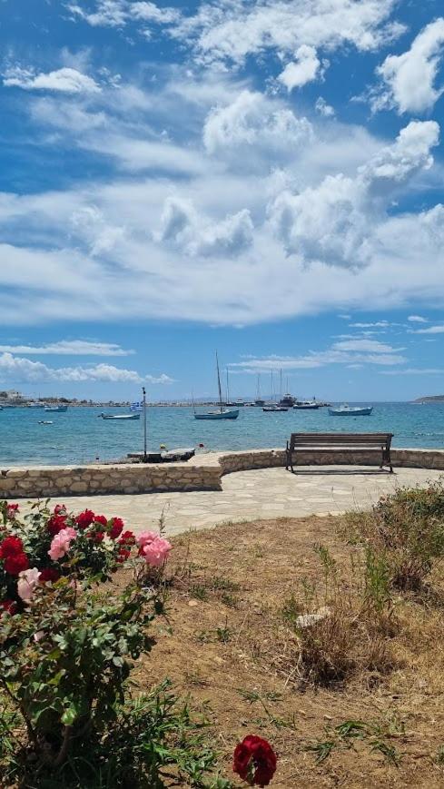 Barewake's Place 1 Spacious Cycladic and Seaside View South Paros - Photo 17