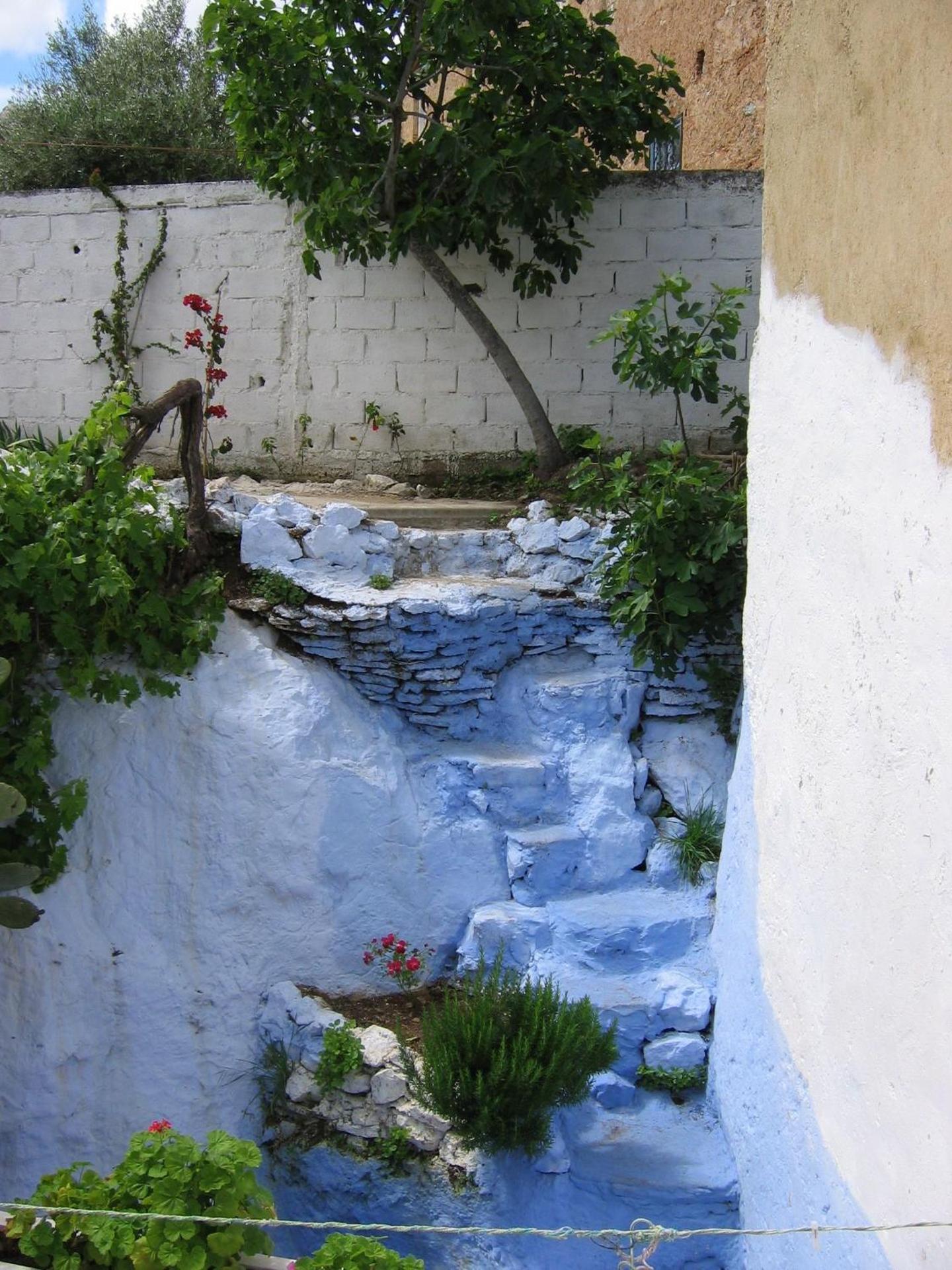 Dar Dalia - Photo 33