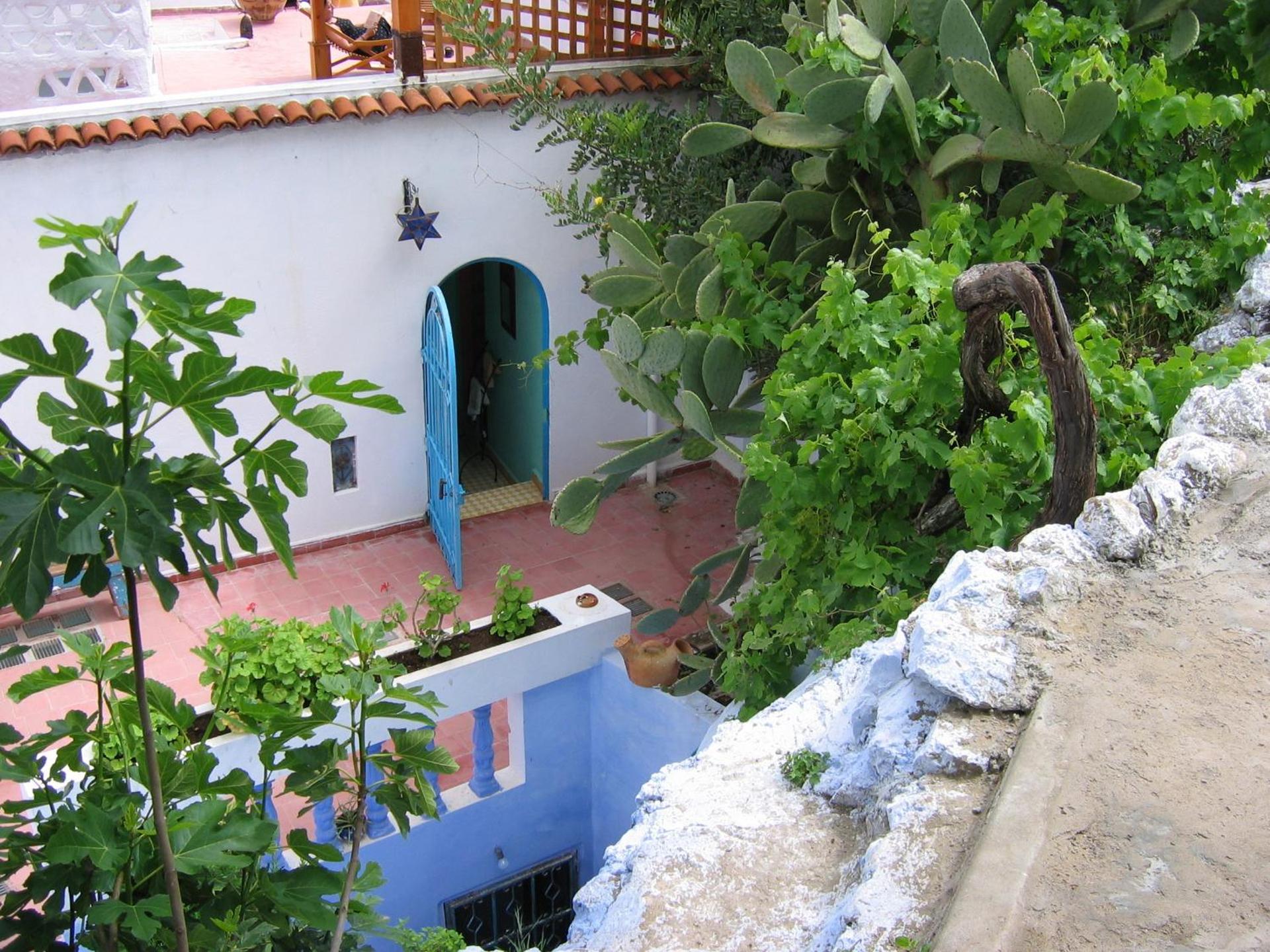 Dar Dalia - Photo 32