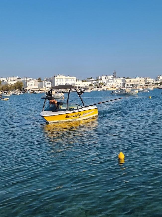 Barewake's Place 1 Spacious Cycladic and Seaside View South Paros - Photo 18