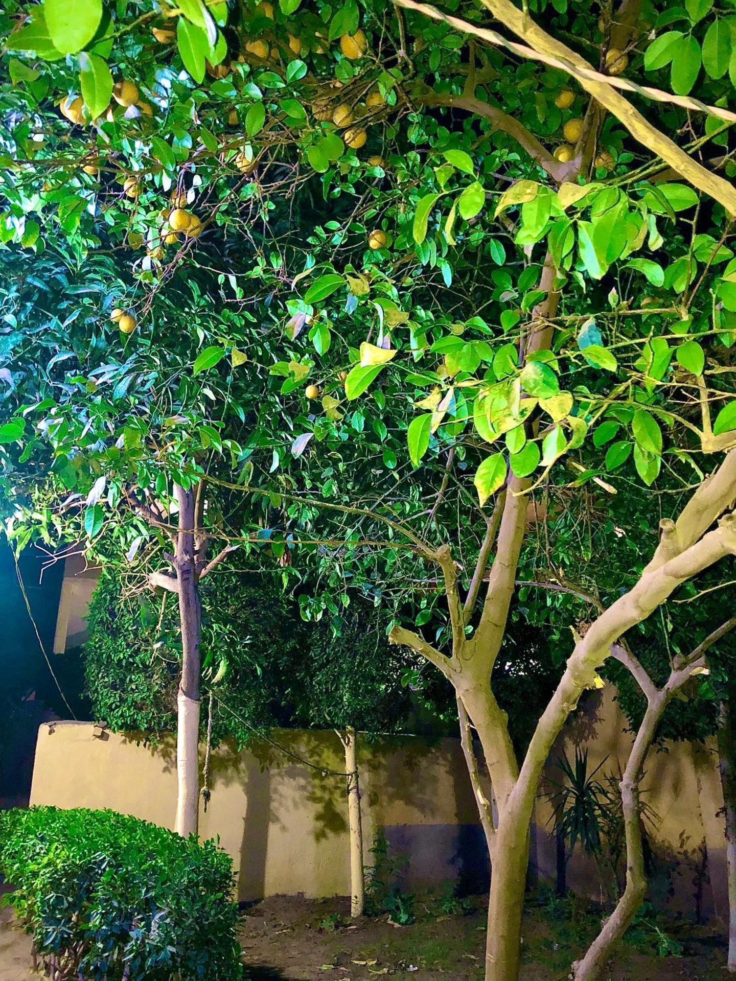 Keeper Pyramids View INN - Photo 13