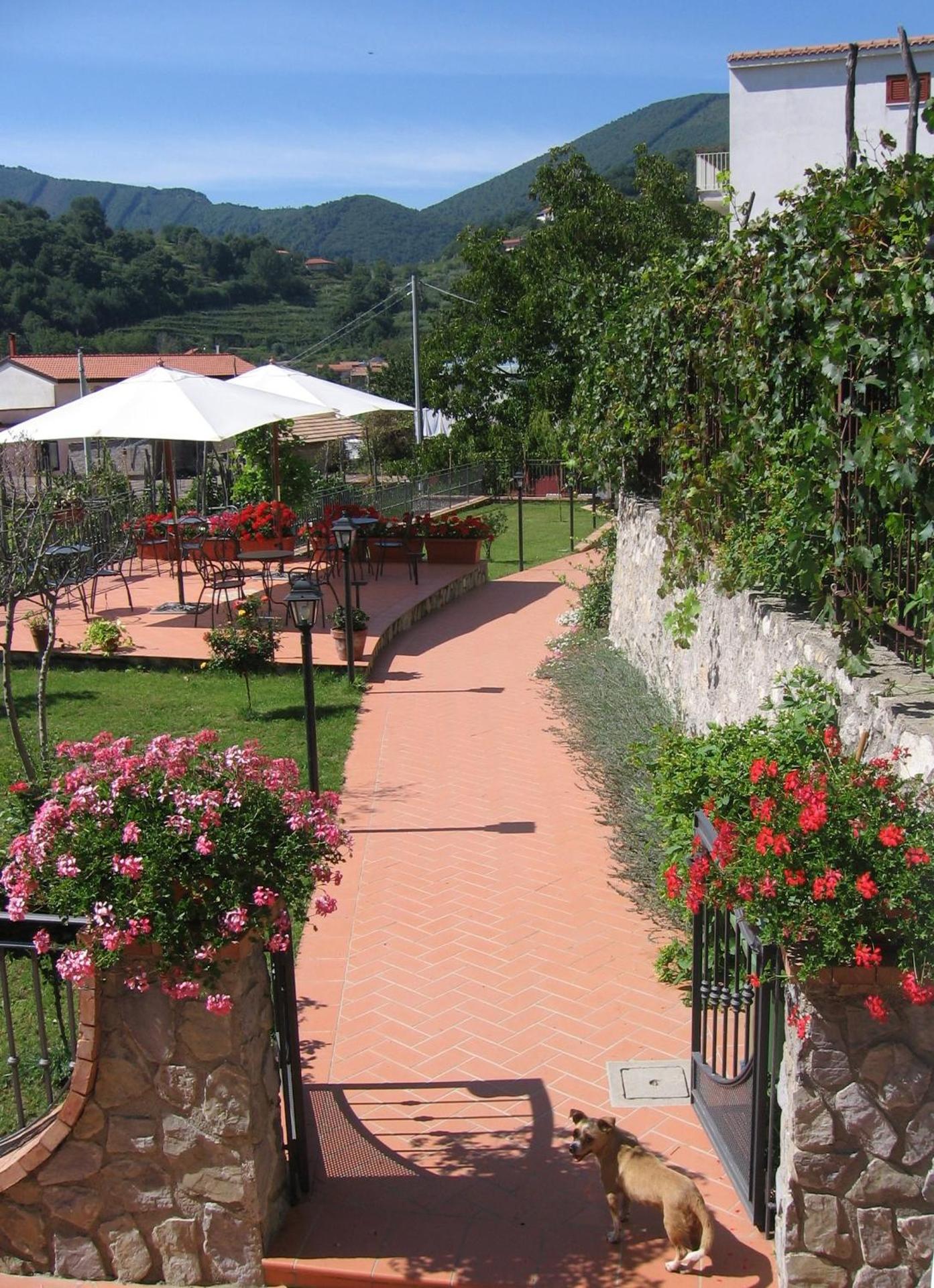 Farfalle E Gabbiani - Photo 24