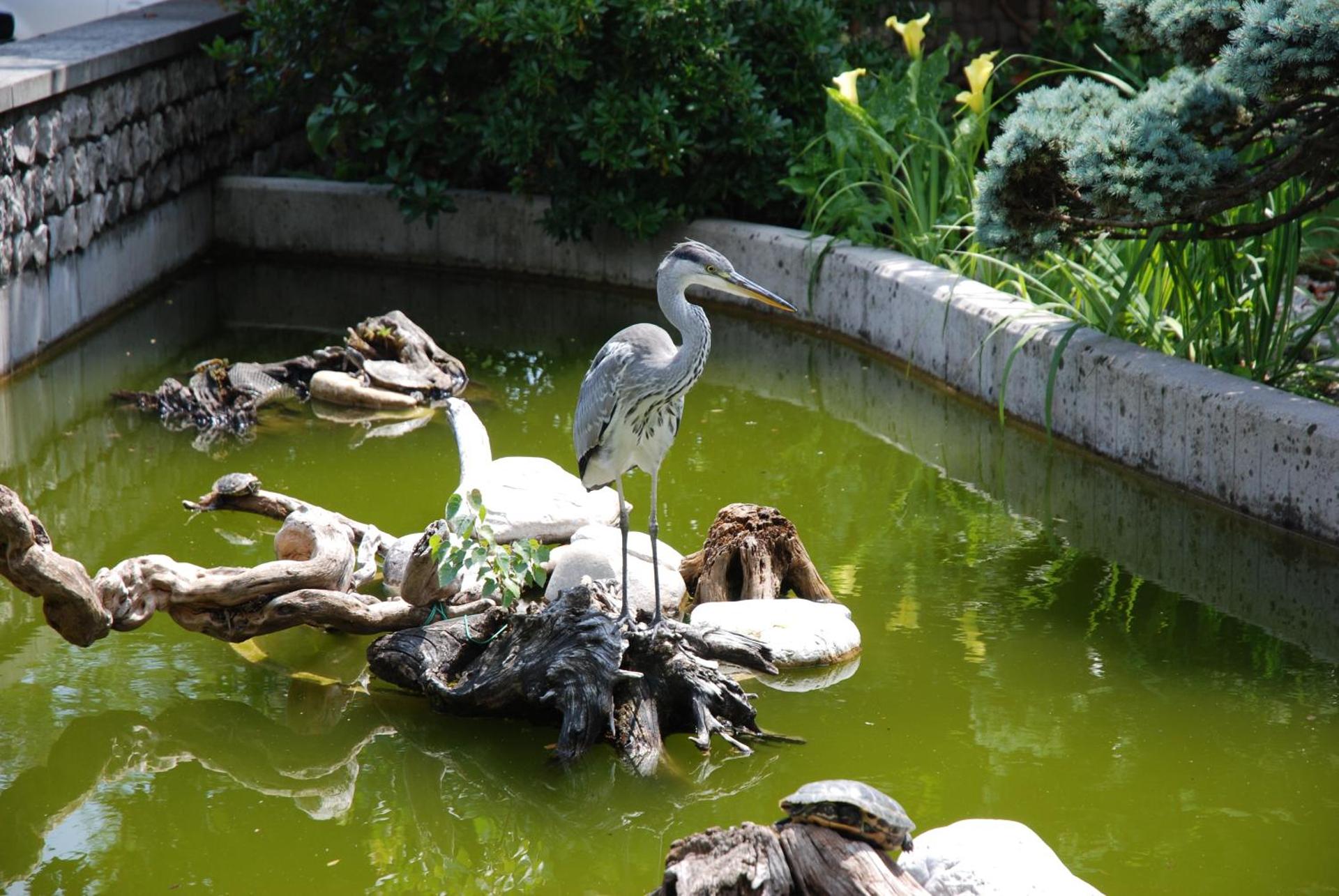 Al Giardino - Photo 9