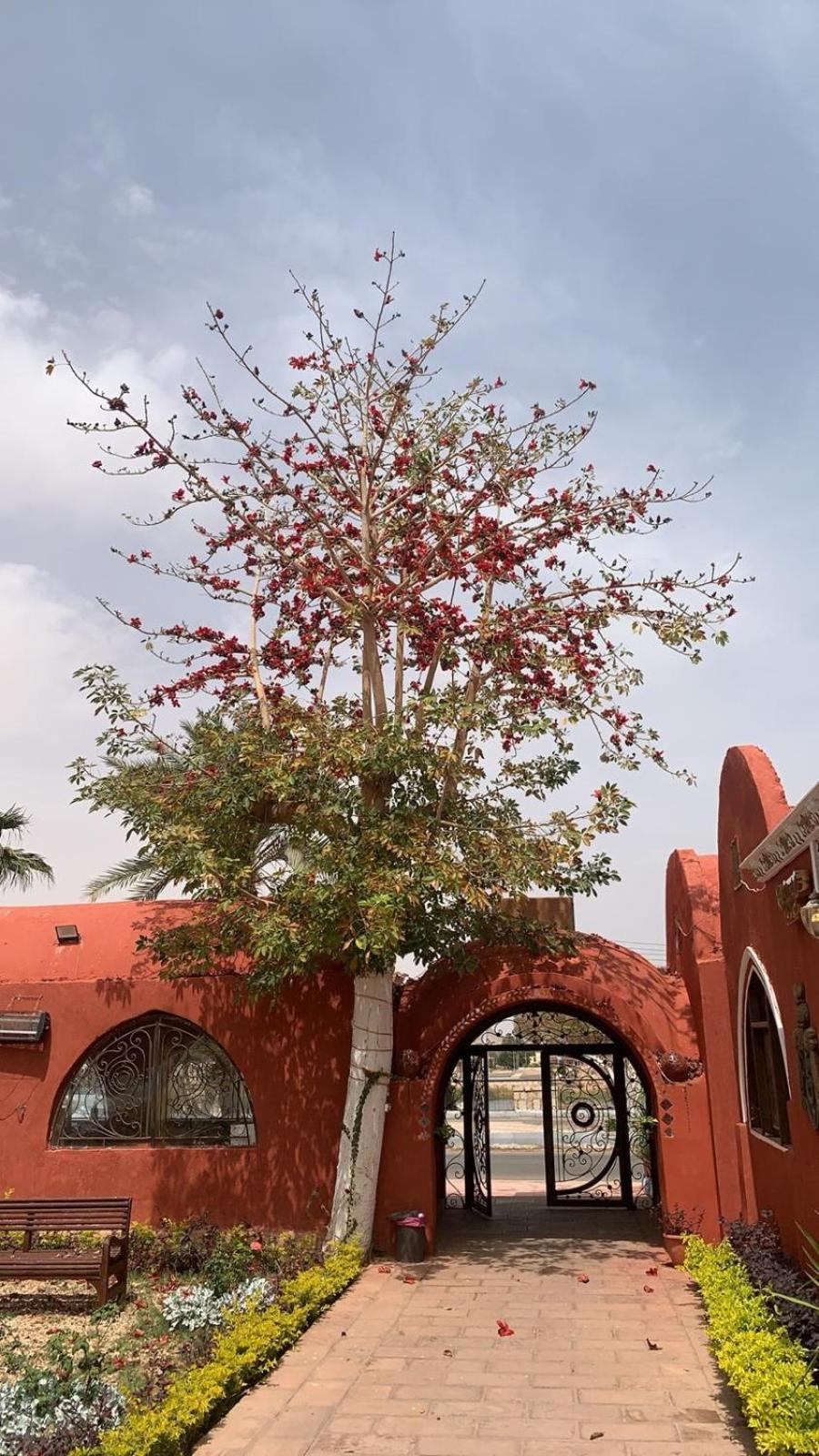 Tuya Hotel - Photo 120