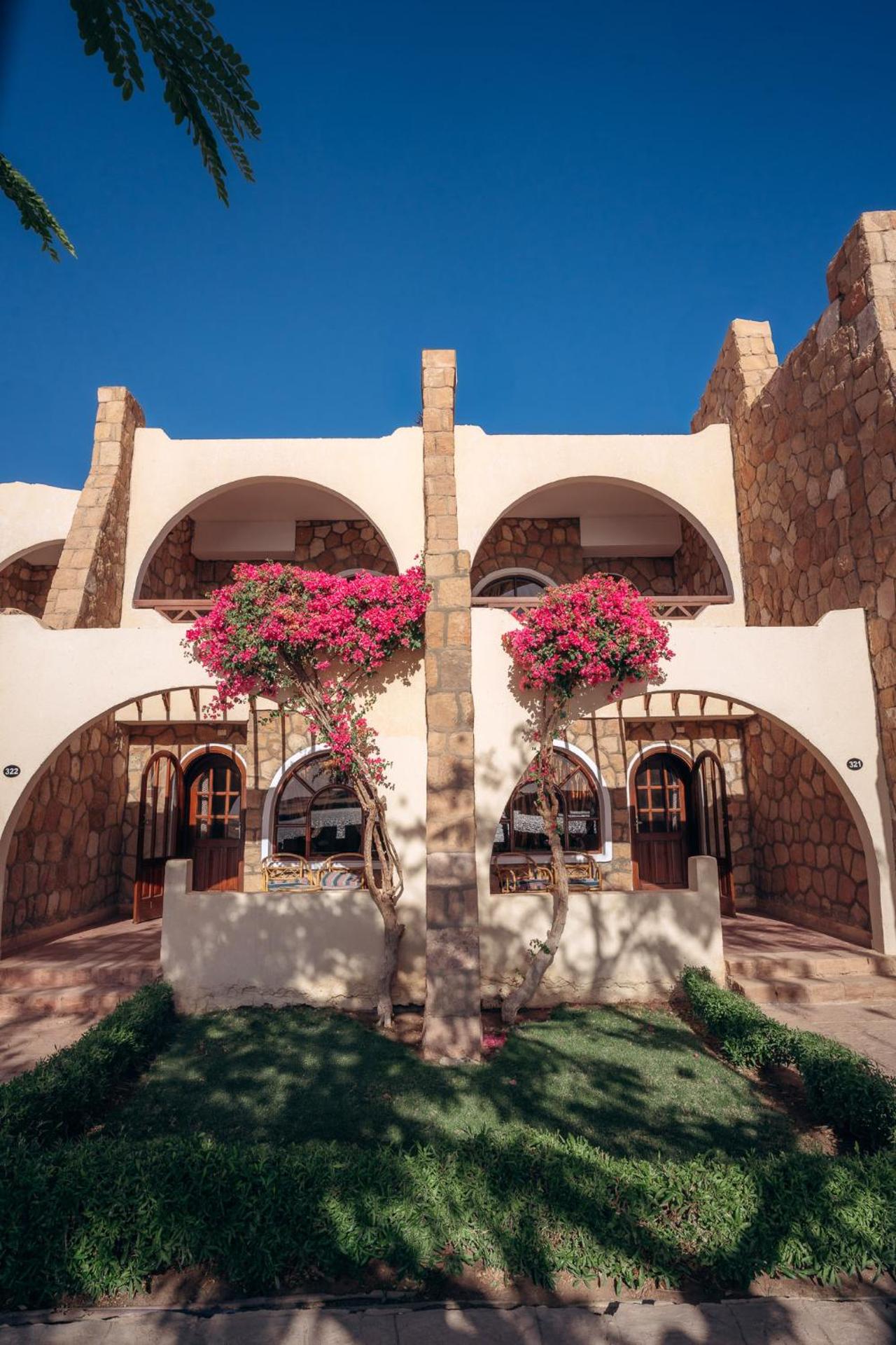 Seti Abu Simbel Lake Resort - Photo 13