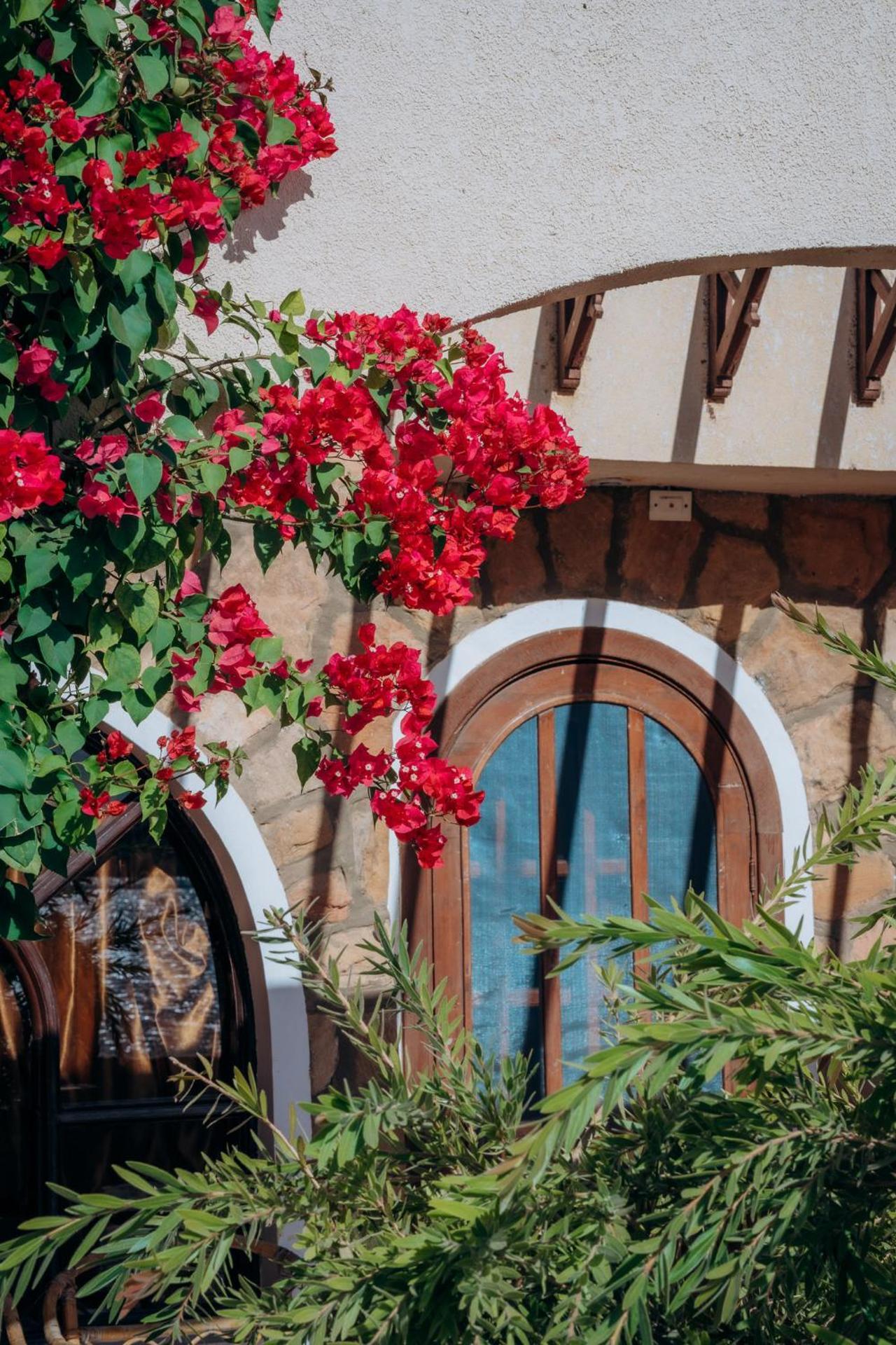 Seti Abu Simbel Lake Resort - Photo 18