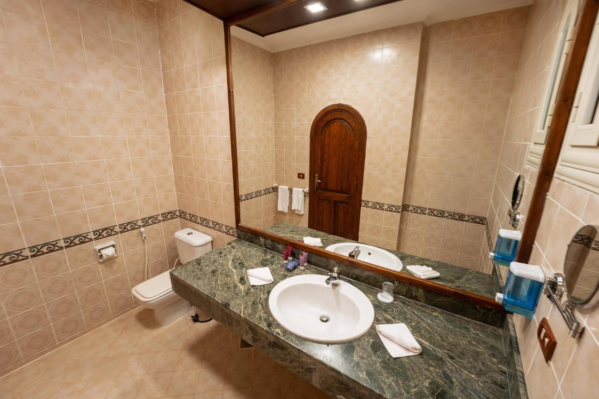 Seti Abu Simbel Lake Resort - Photo 37