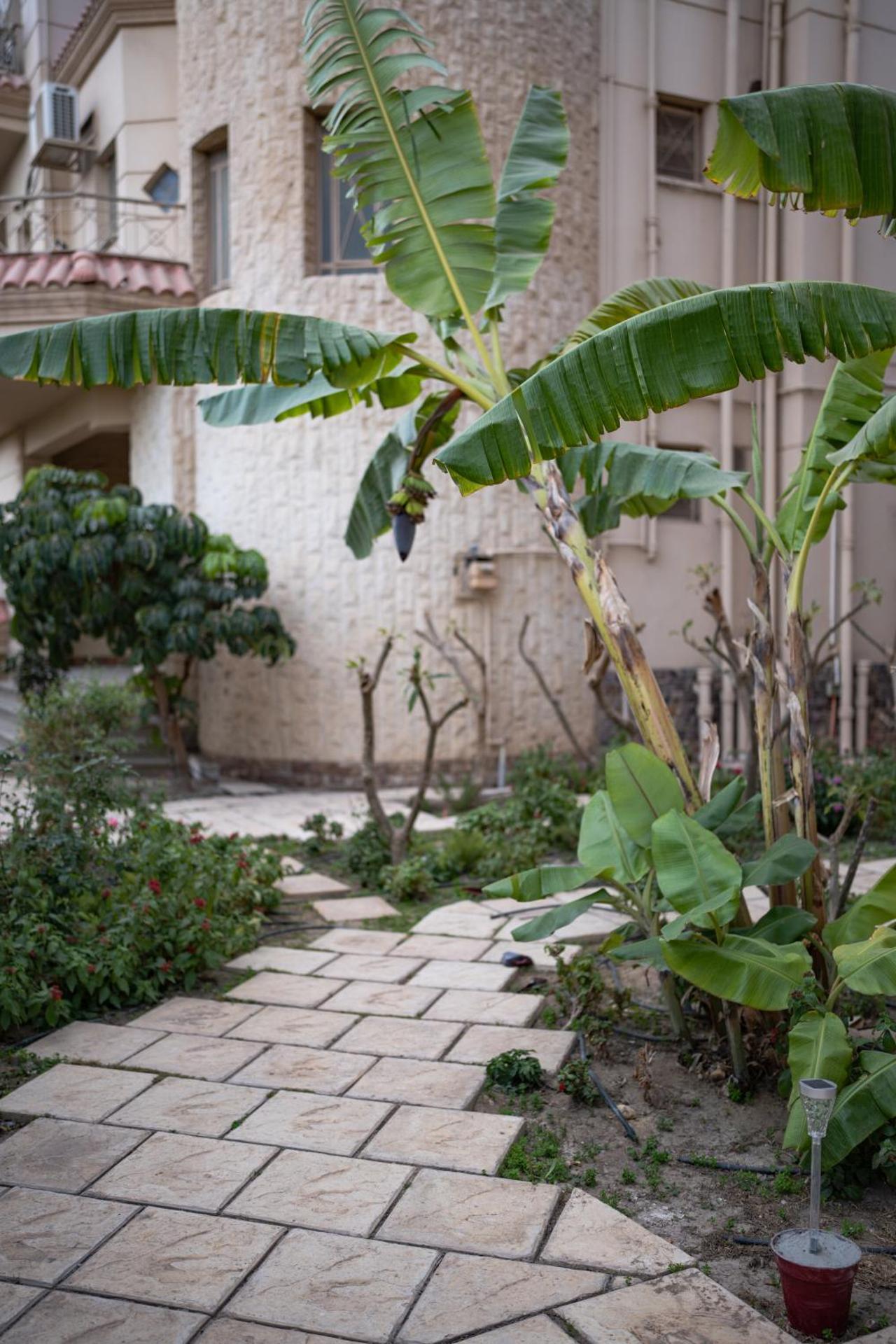 The H Cairo Suites - Photo 74