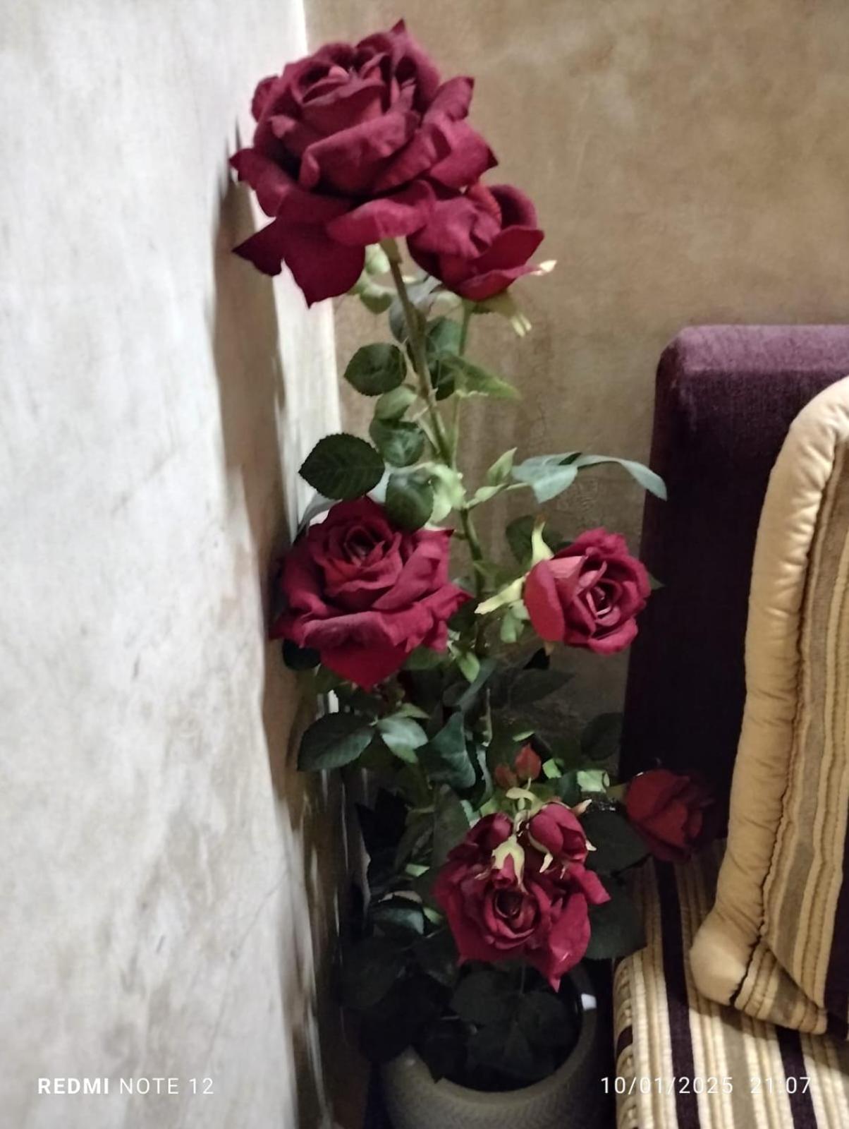 Riad Mille Et Une Nuits - Photo 70