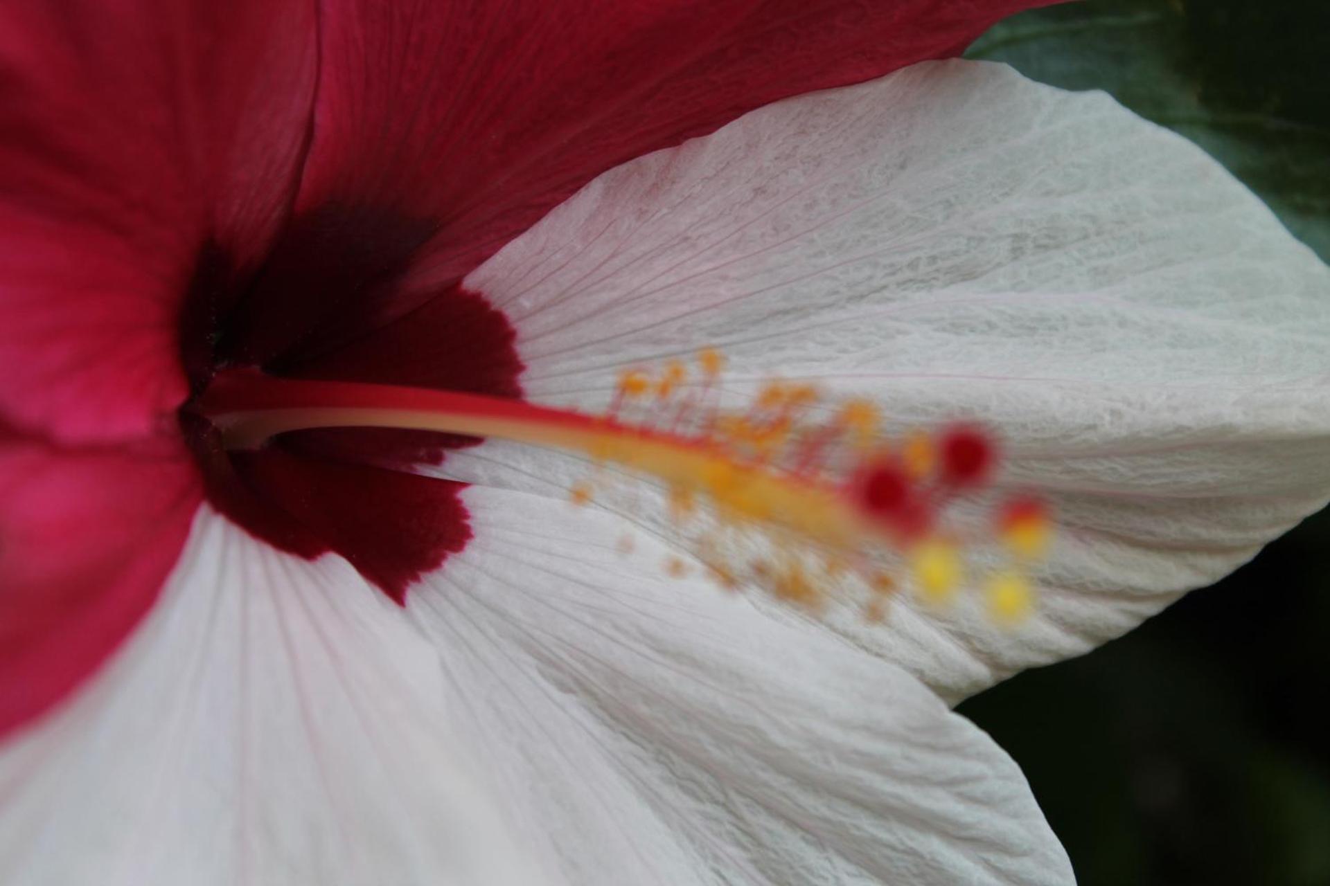 Miriam Hotel & Residence - Photo 41