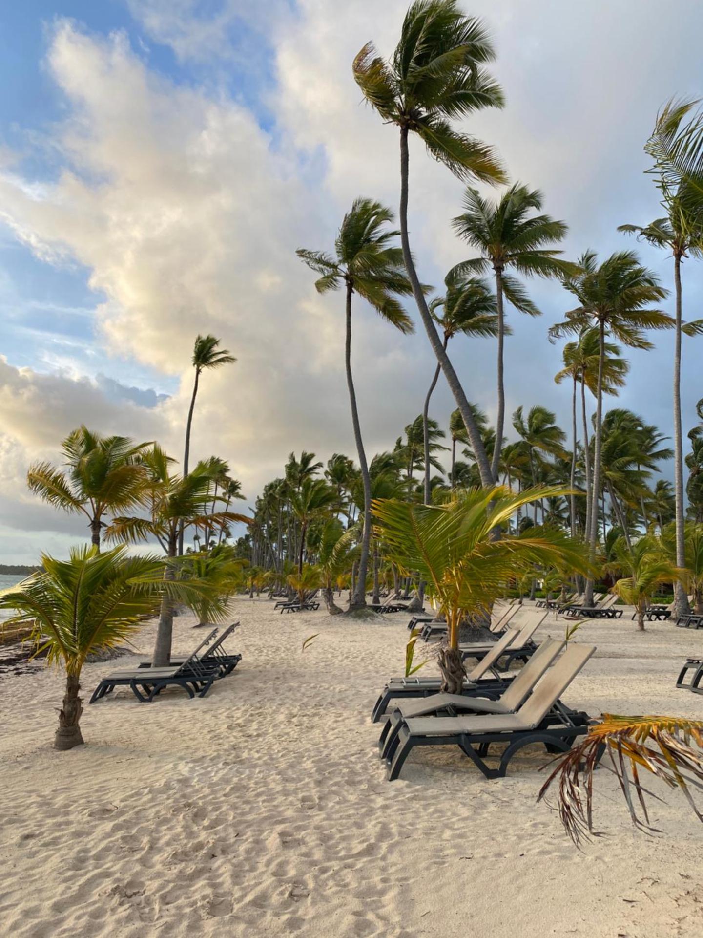 Un Lugar Único y Céntrico RD Los Corales - Photo 17