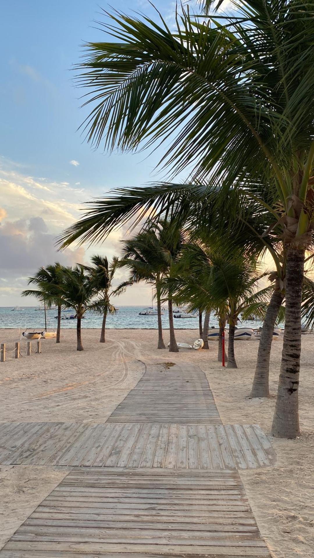 Un Lugar Único y Céntrico RD Los Corales - Photo 15