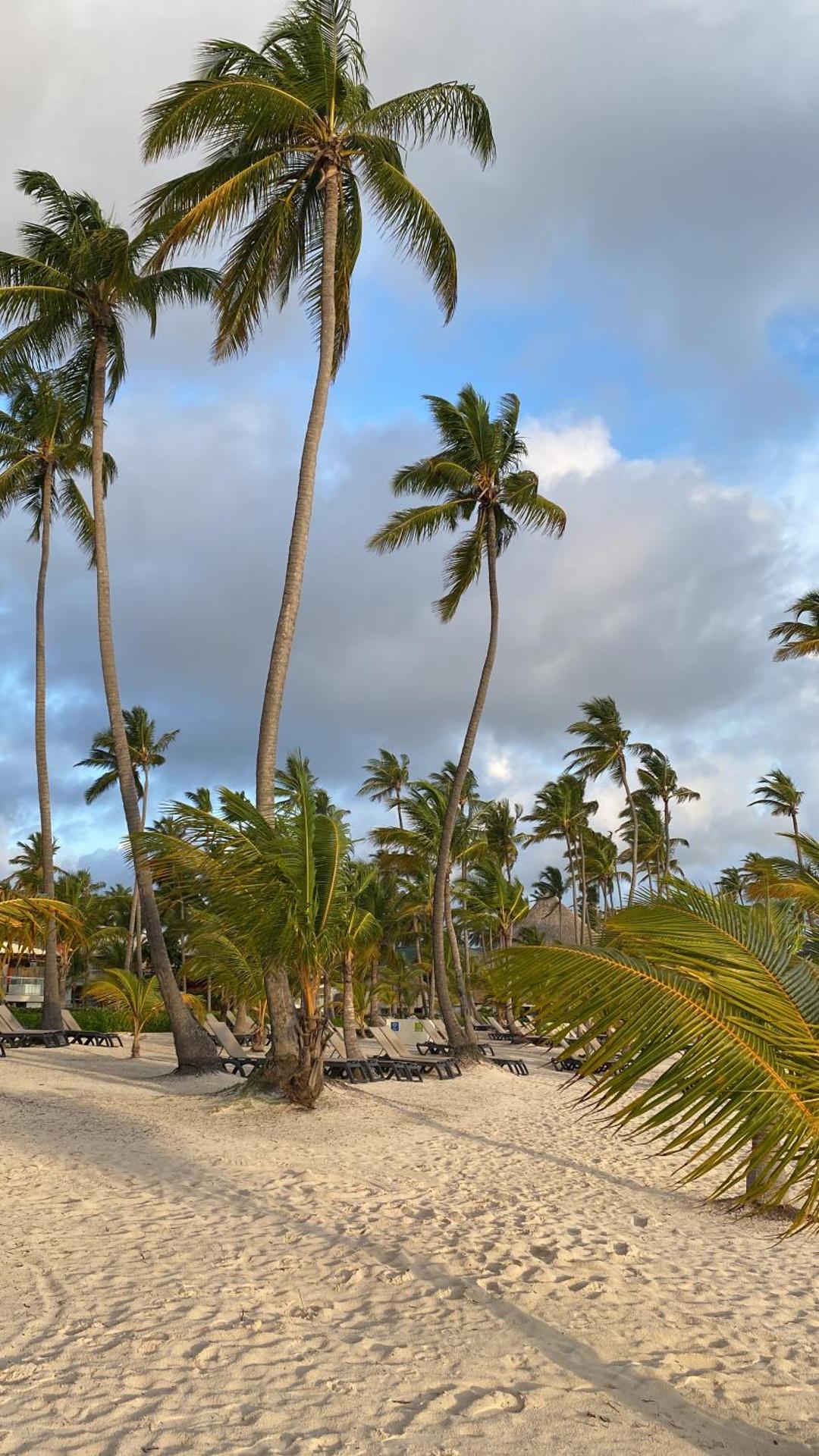 Un Lugar Único y Céntrico RD Los Corales - Photo 14