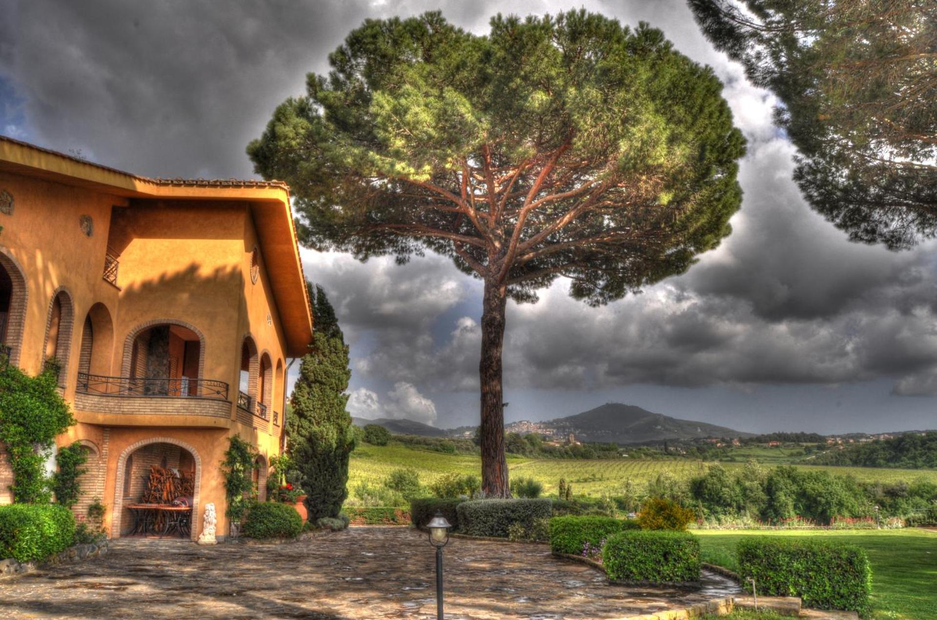 Tenuta Cusmano - Photo 100