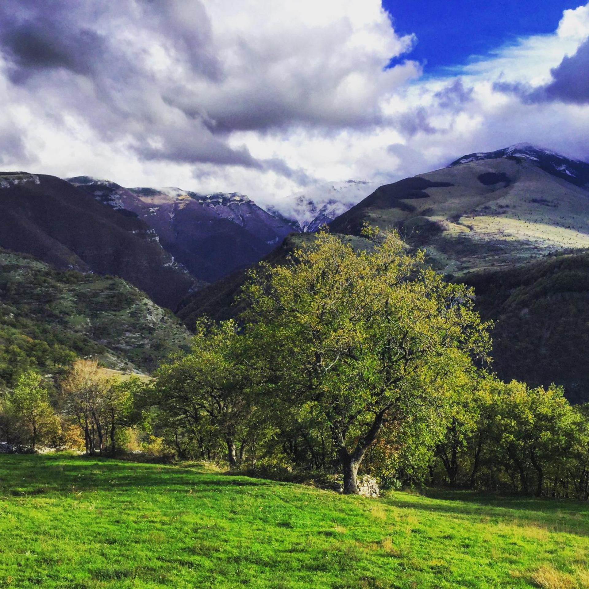 AGRITURISMO Case Catalano - Photo 186