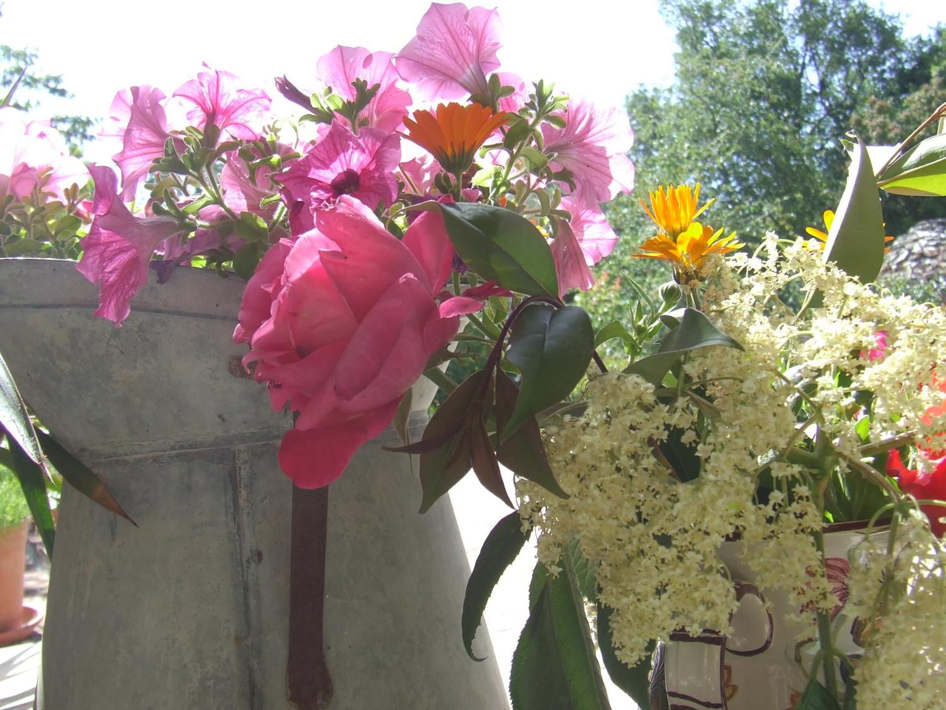 AGRITURISMO Case Catalano - Photo 128