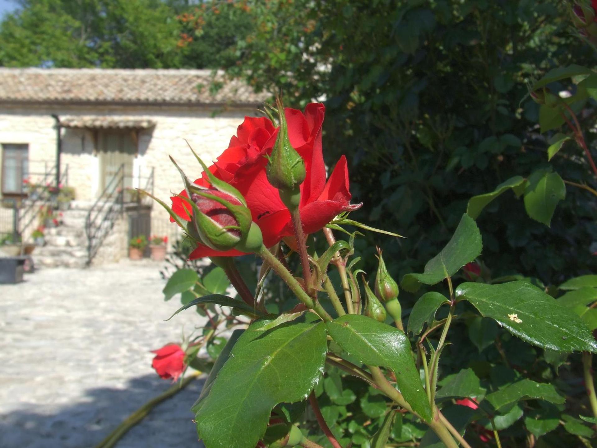 AGRITURISMO Case Catalano - Photo 127