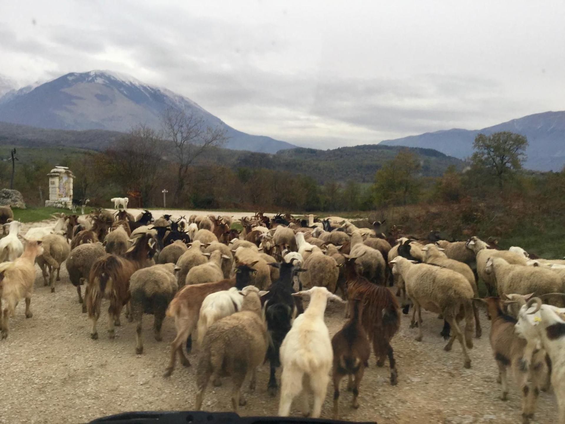 AGRITURISMO Case Catalano - Photo 191
