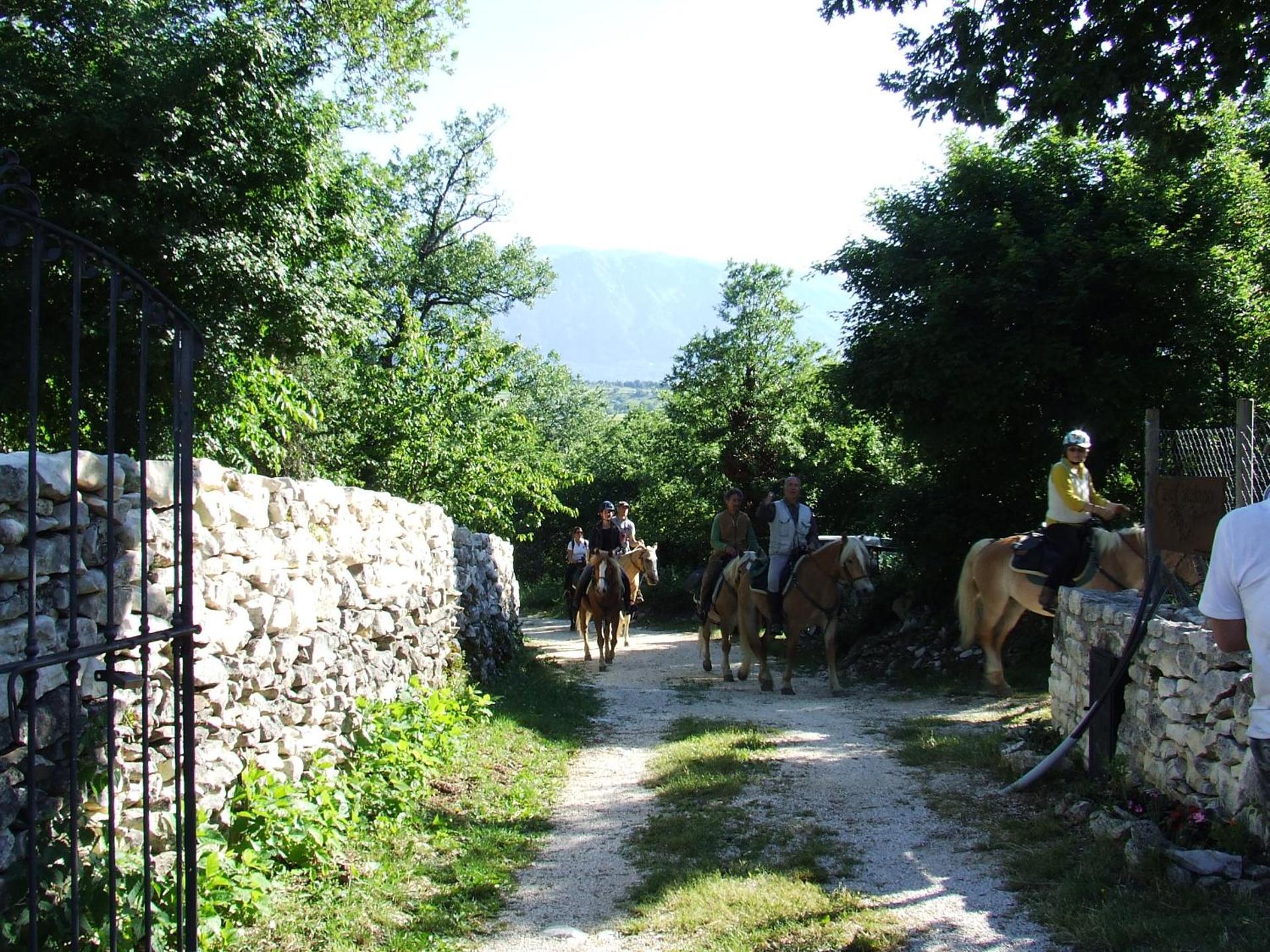 AGRITURISMO Case Catalano - Photo 126