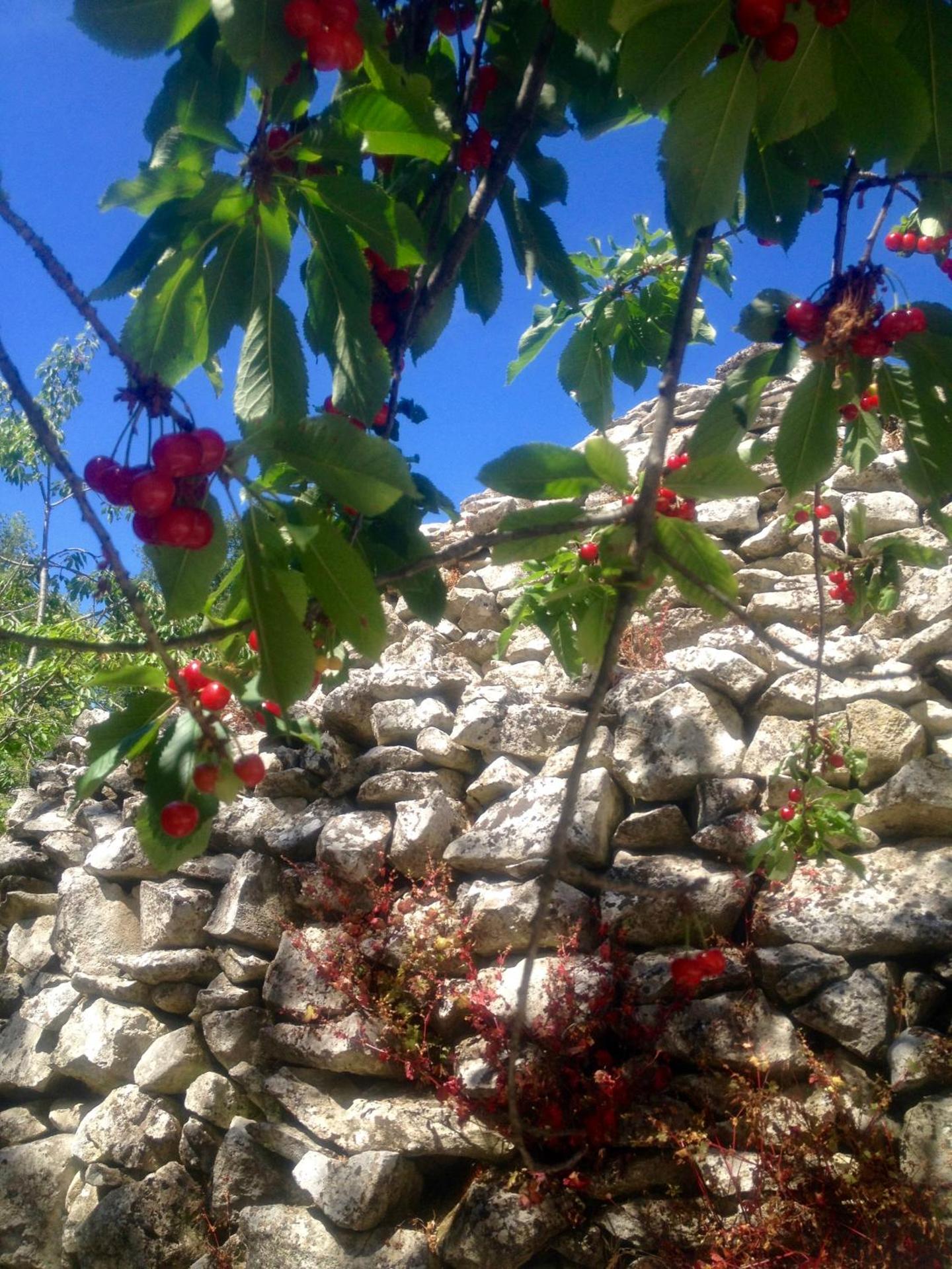 AGRITURISMO Case Catalano - Photo 125