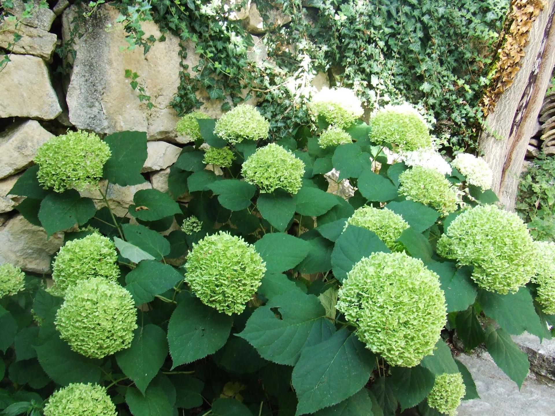 AGRITURISMO Case Catalano - Photo 194