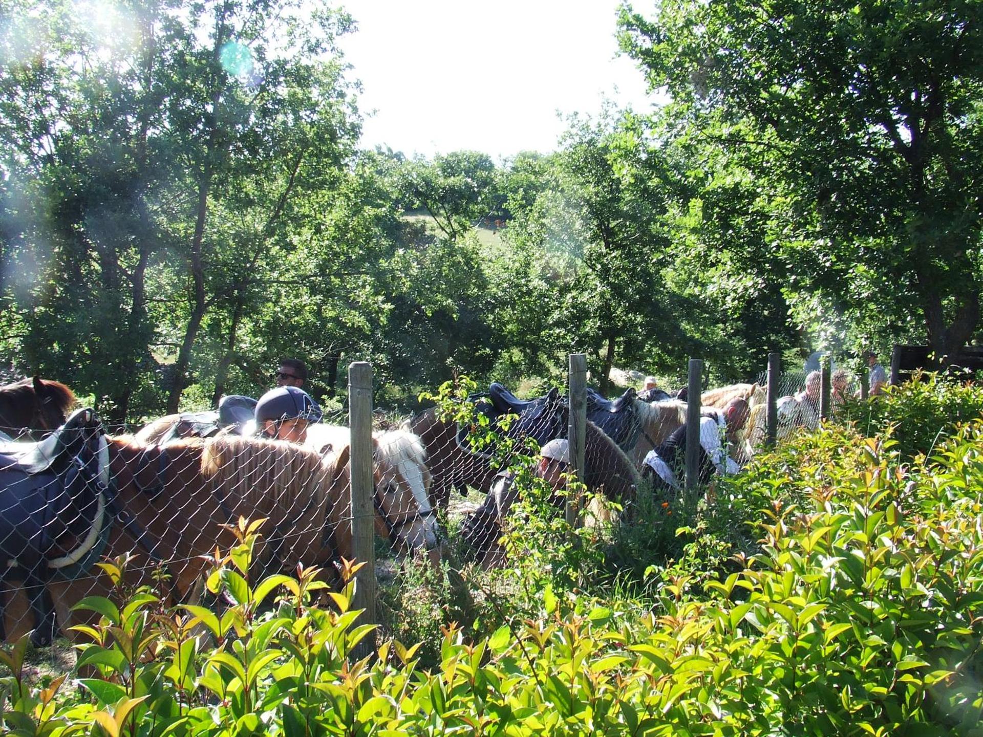 AGRITURISMO Case Catalano - Photo 214